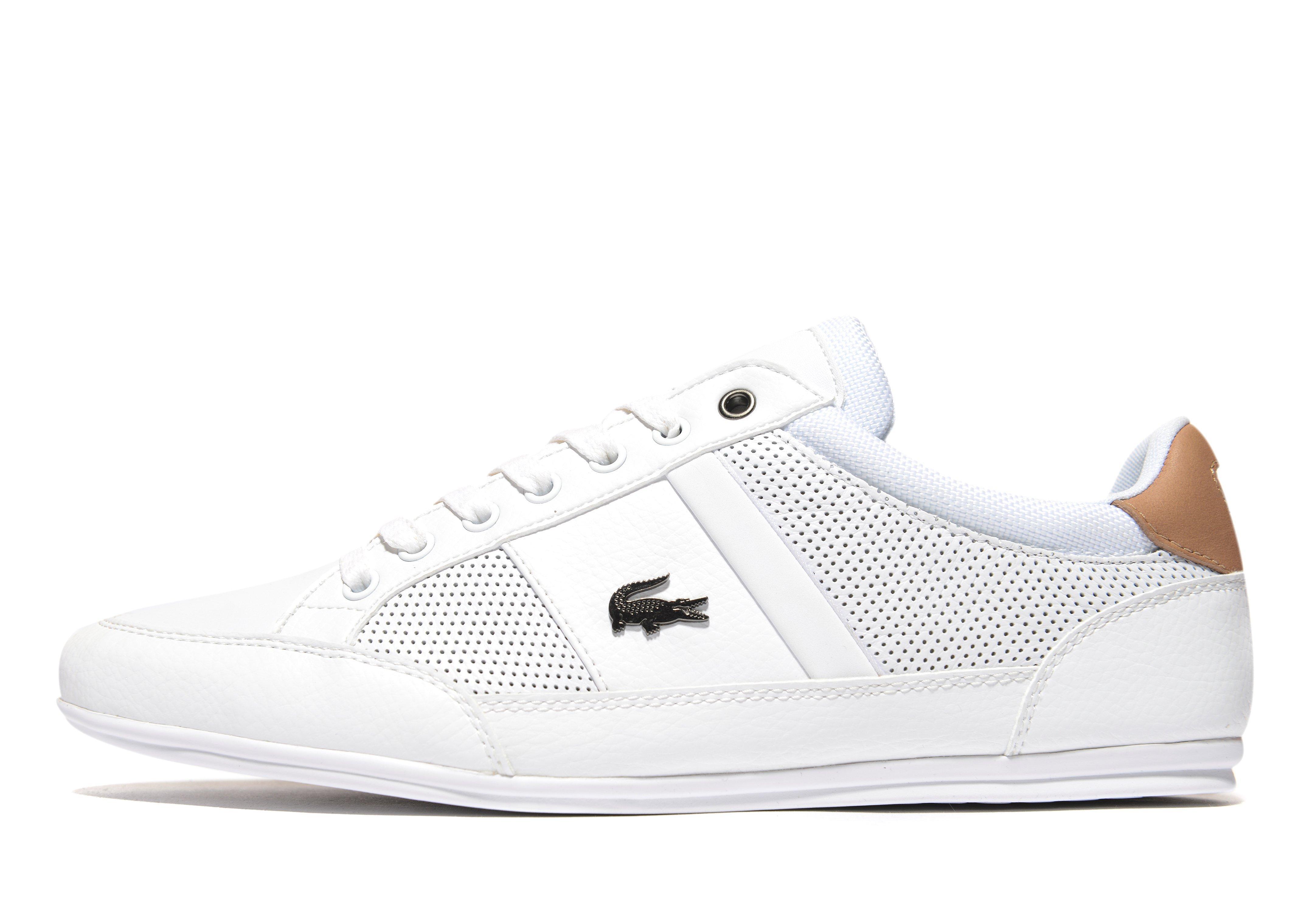 lacoste chaymon tan