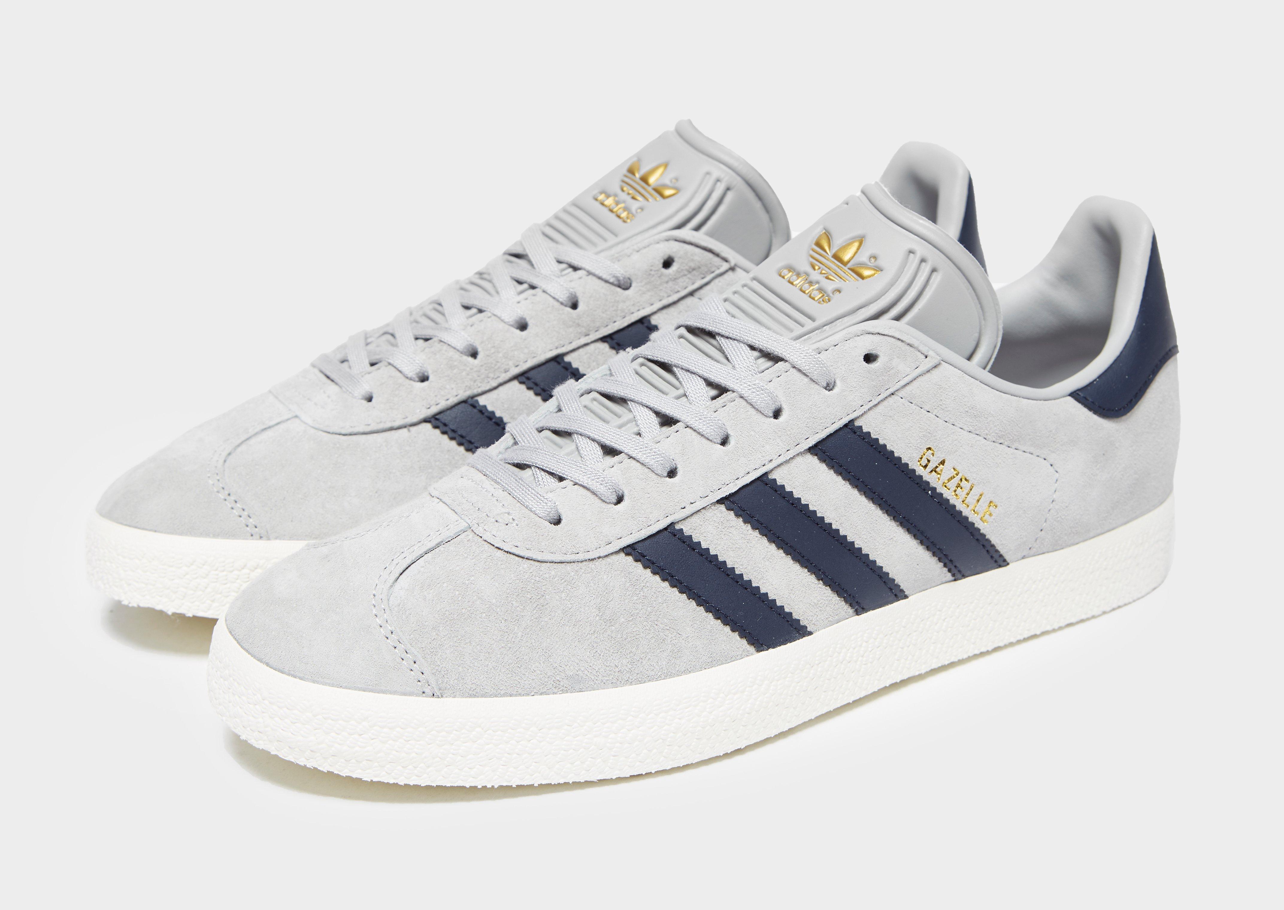 grey and blue gazelles