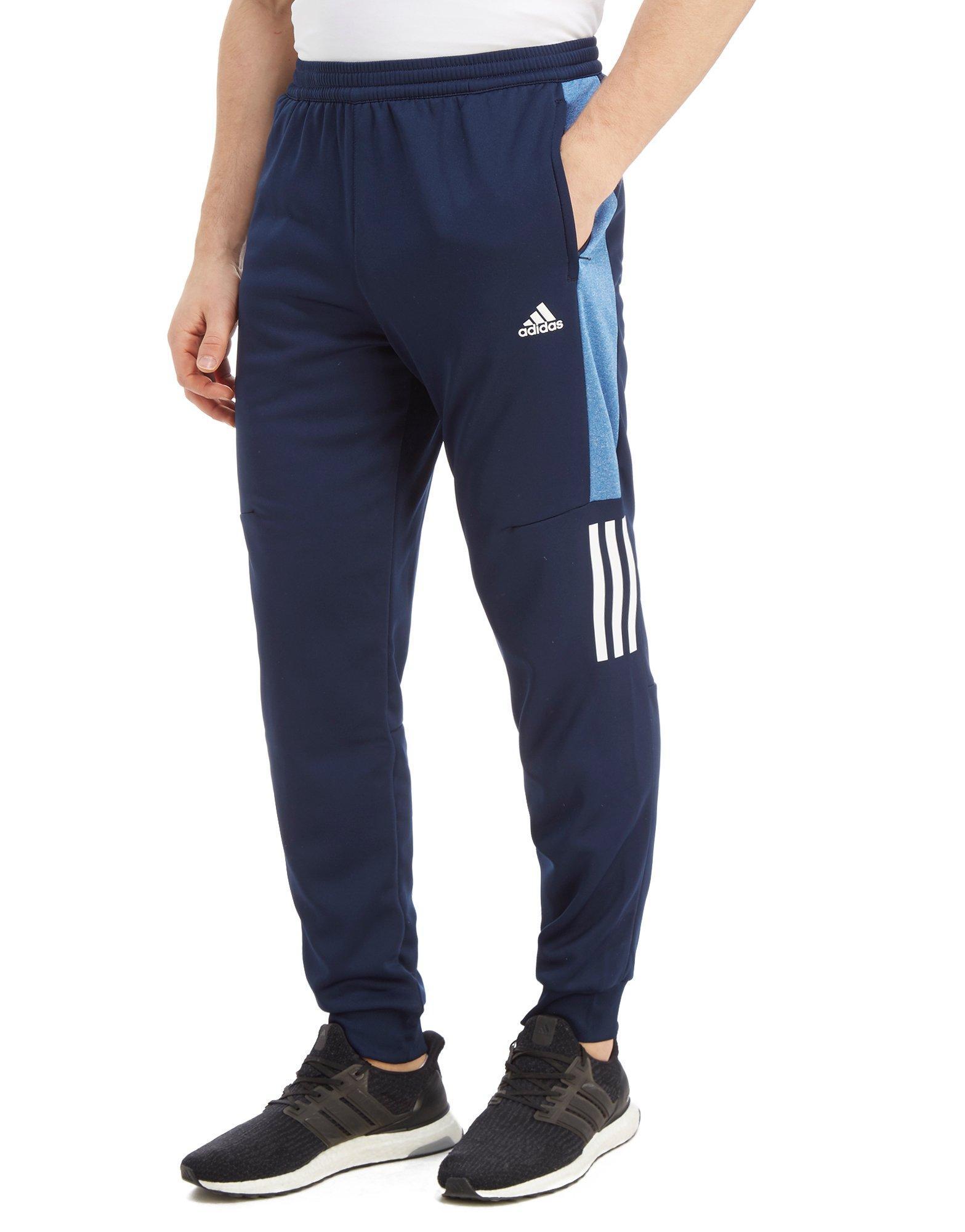 adidas Synthetic Speed Poly Pants in 