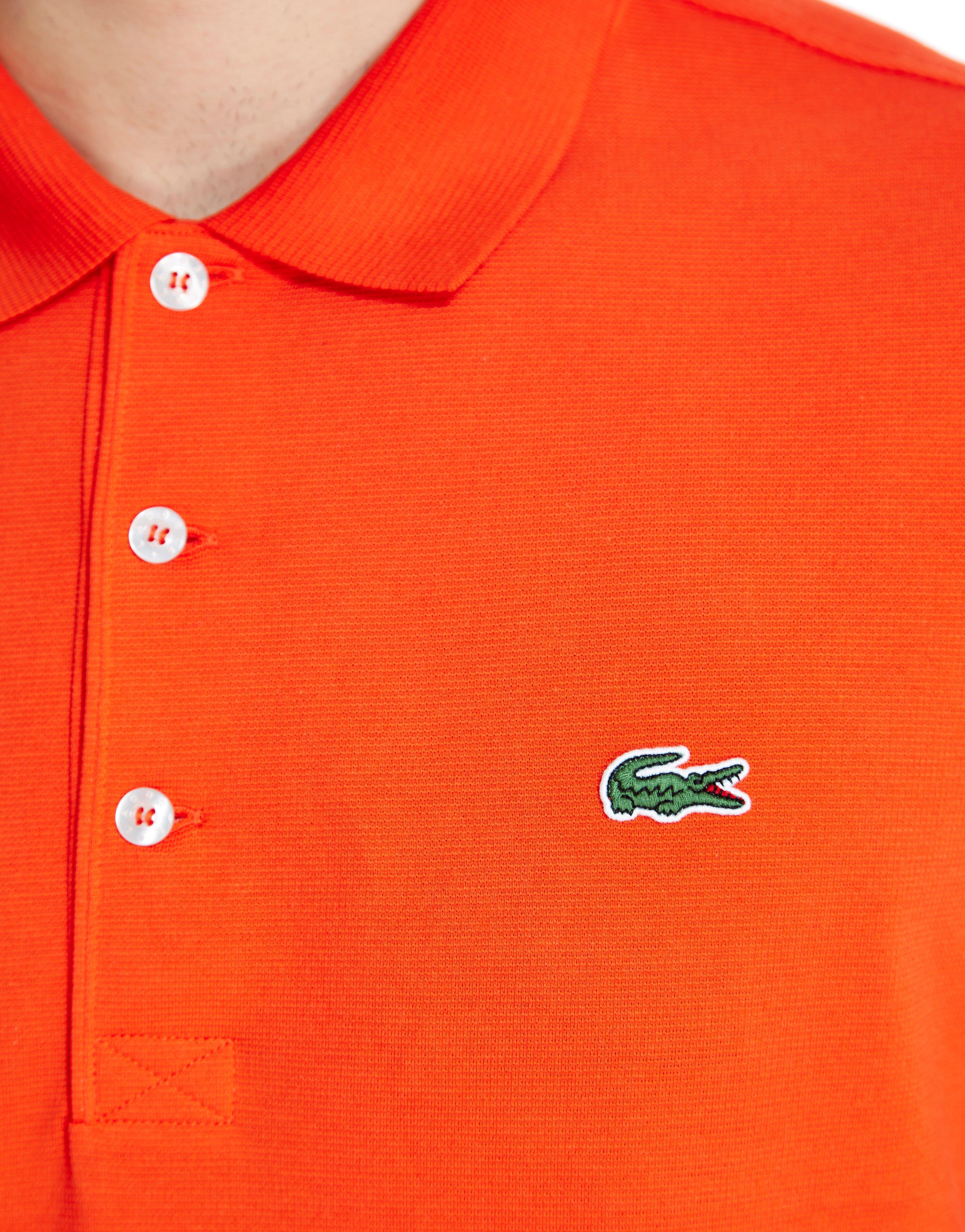 izod polo shirts with alligator