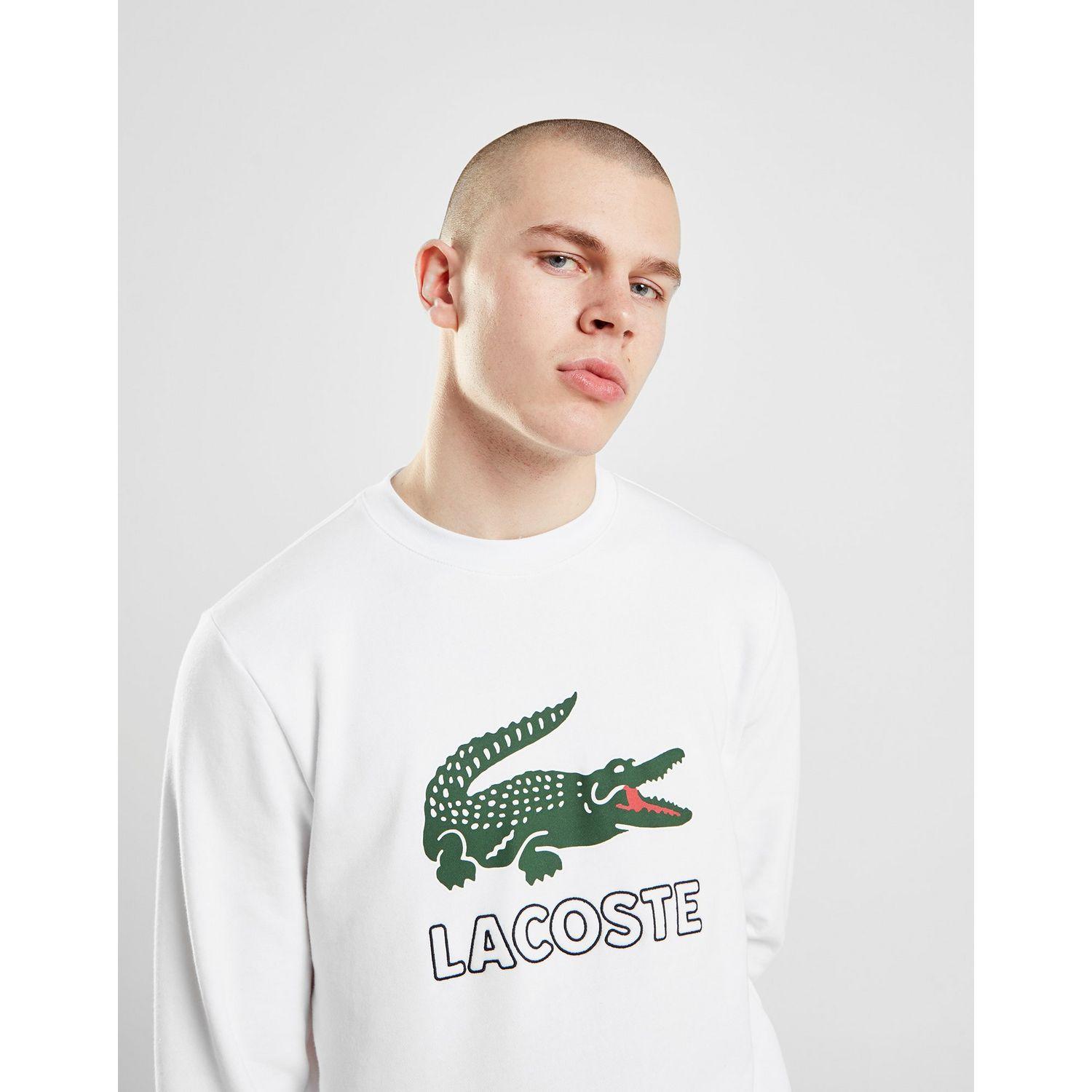 crew neck lacoste big logo