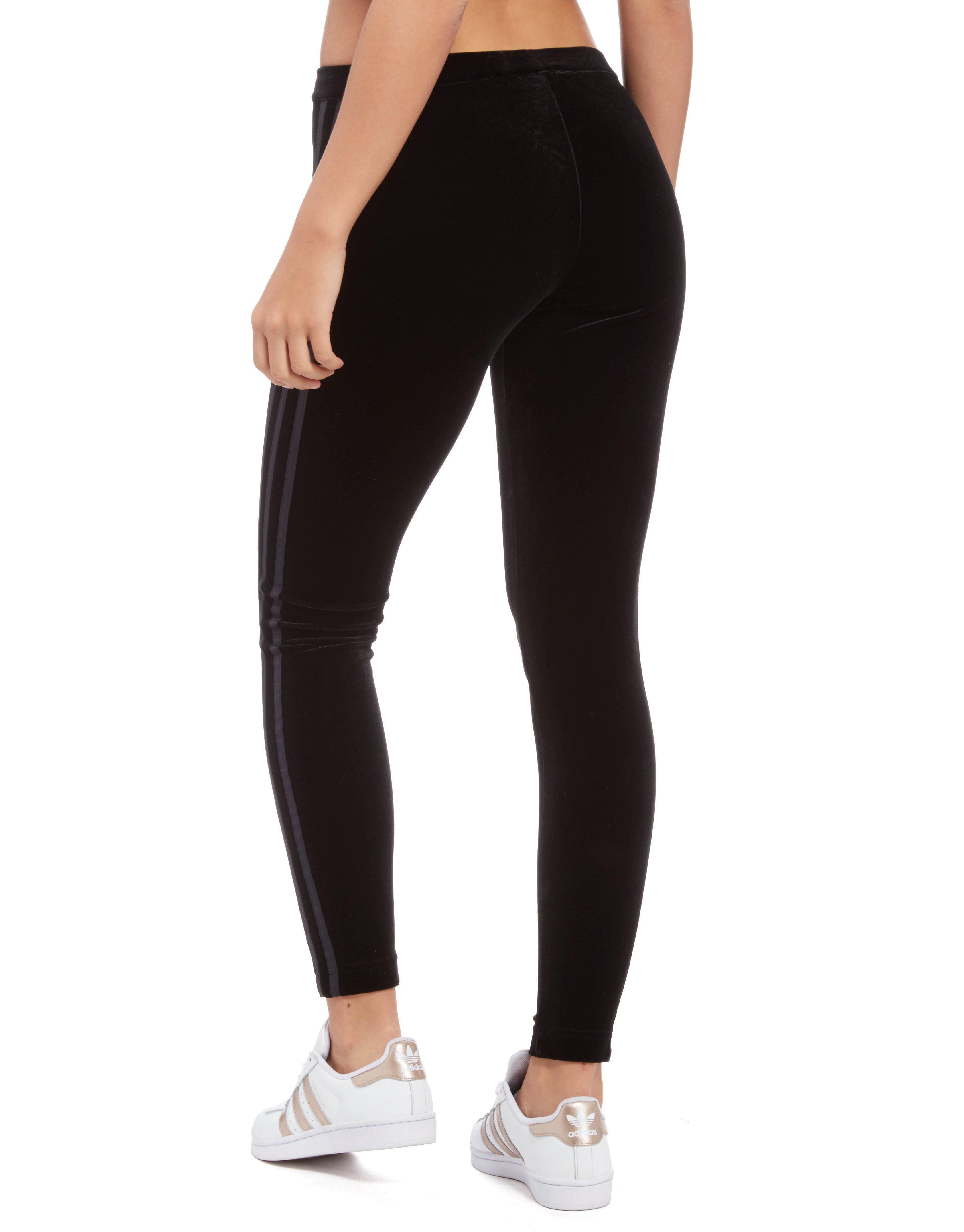 3-stripes Trefoil Velvet Leggings 