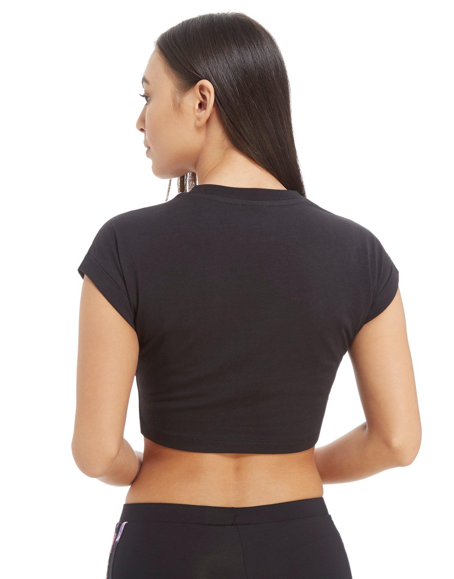 adidas graphic cropped tee