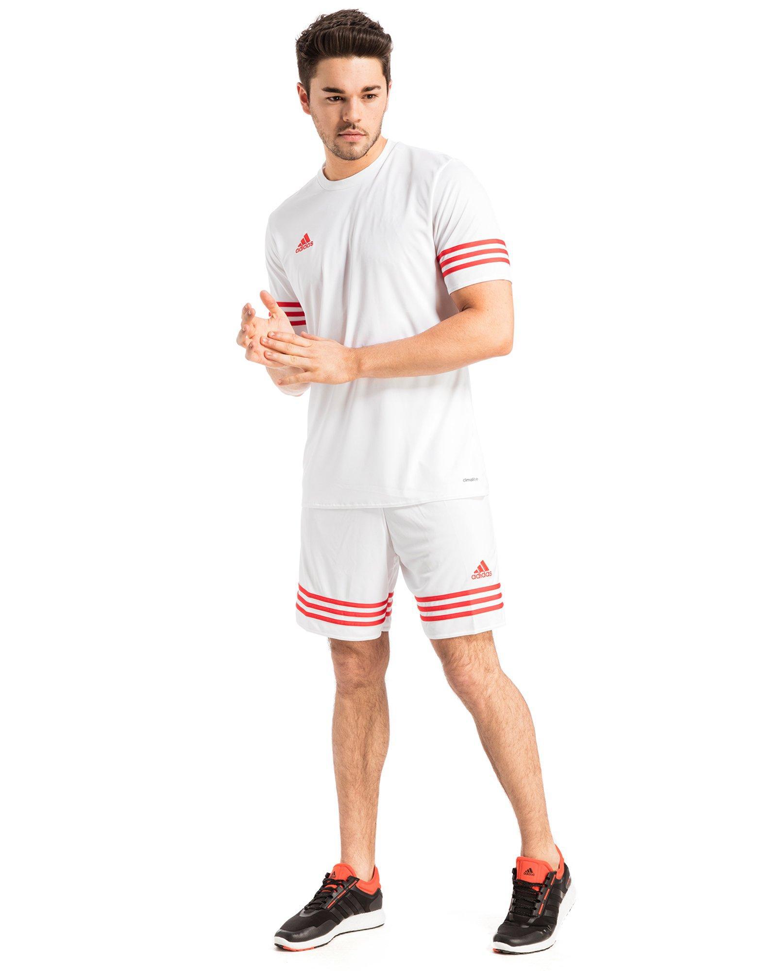 adidas shorts entrada