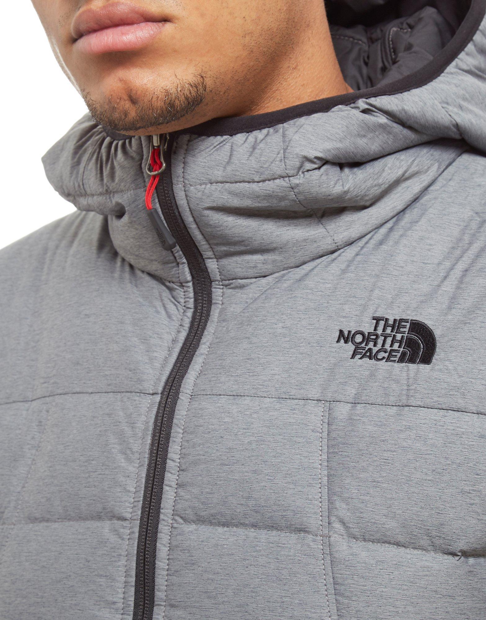 the north face shark down padded jacket