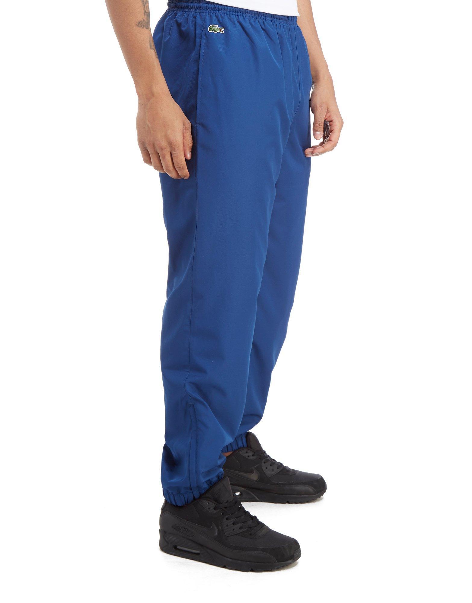 blue lacoste guppy pants