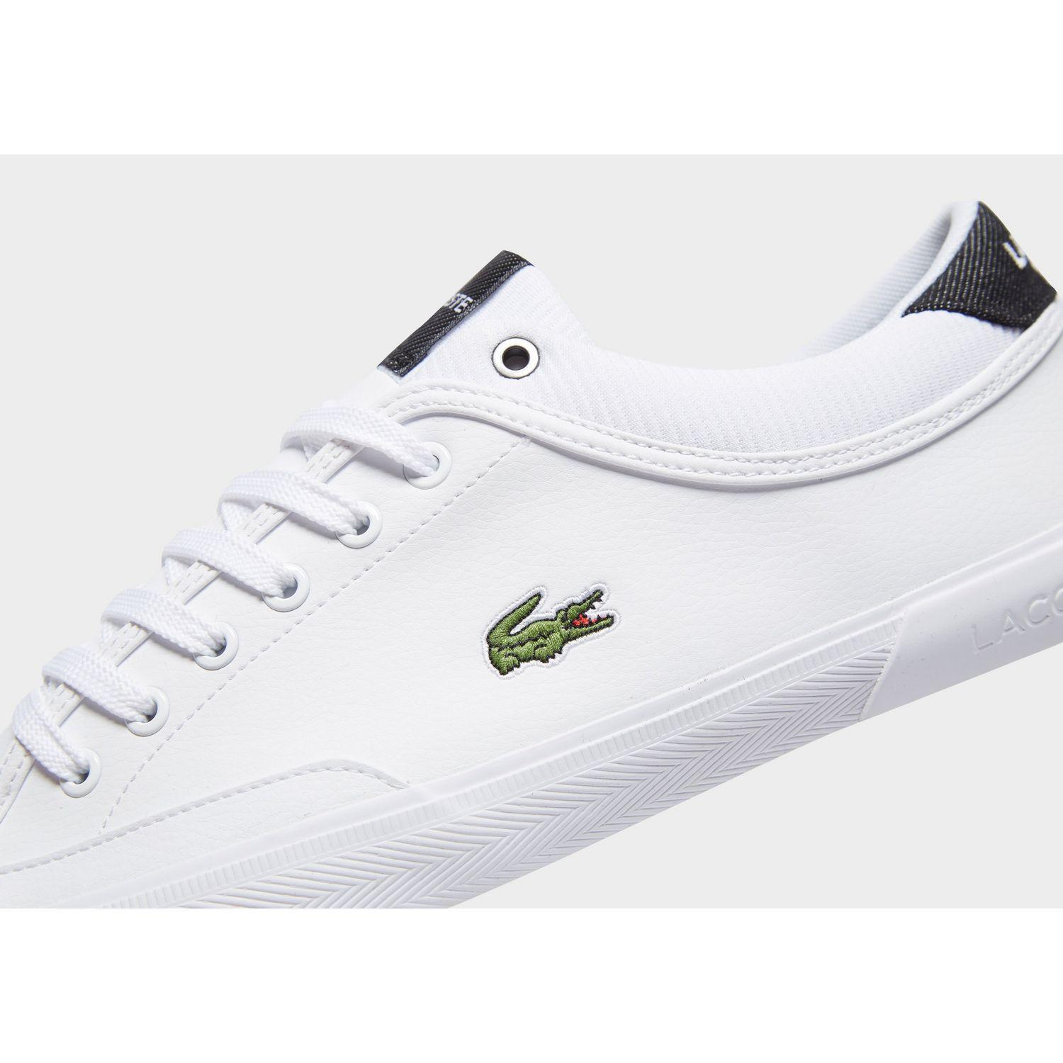 Lacoste angha blue deals