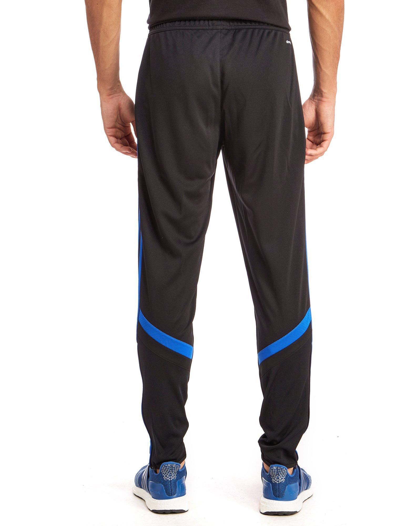 adidas condivo poly pants