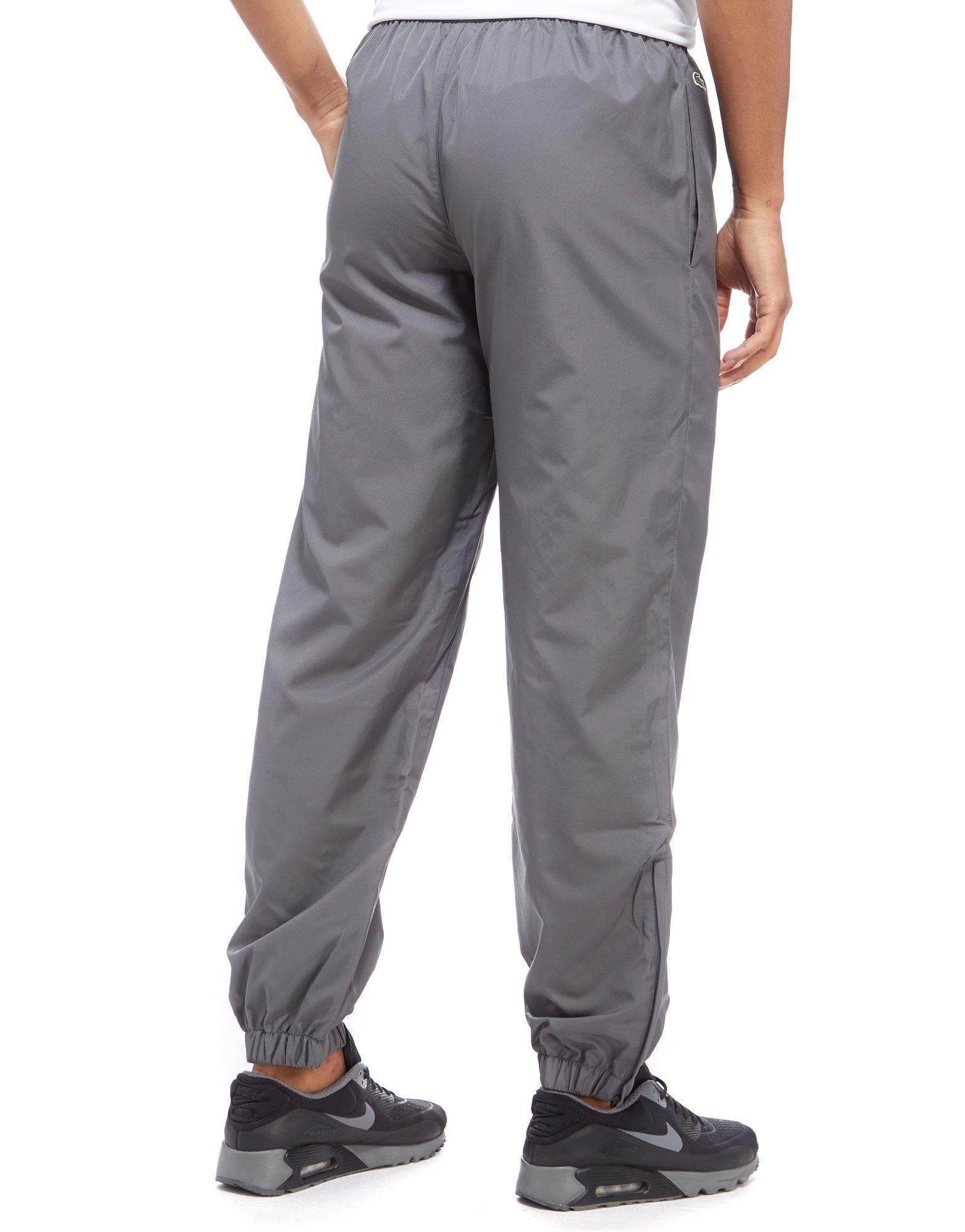 grey lacoste guppy pants