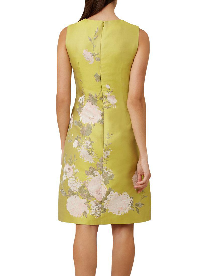 hobbs amara dress