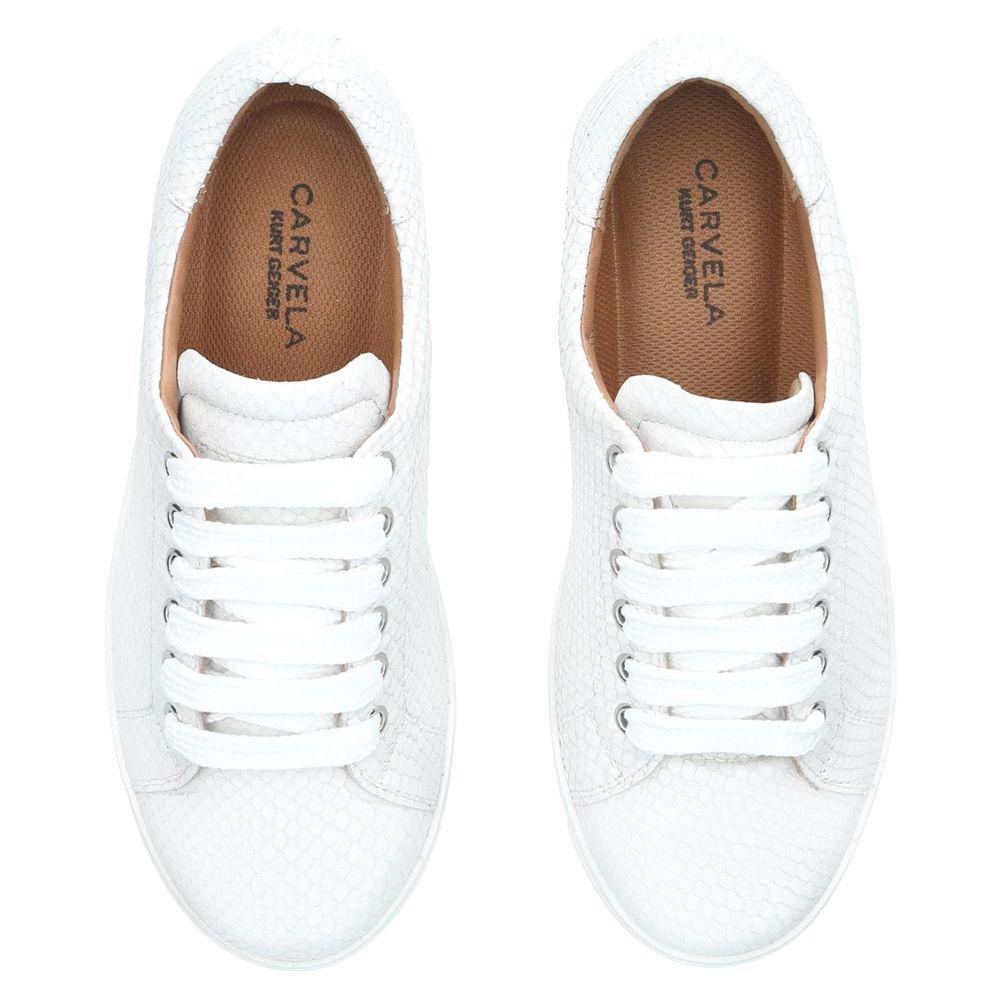 carvela jaguar lace up trainers