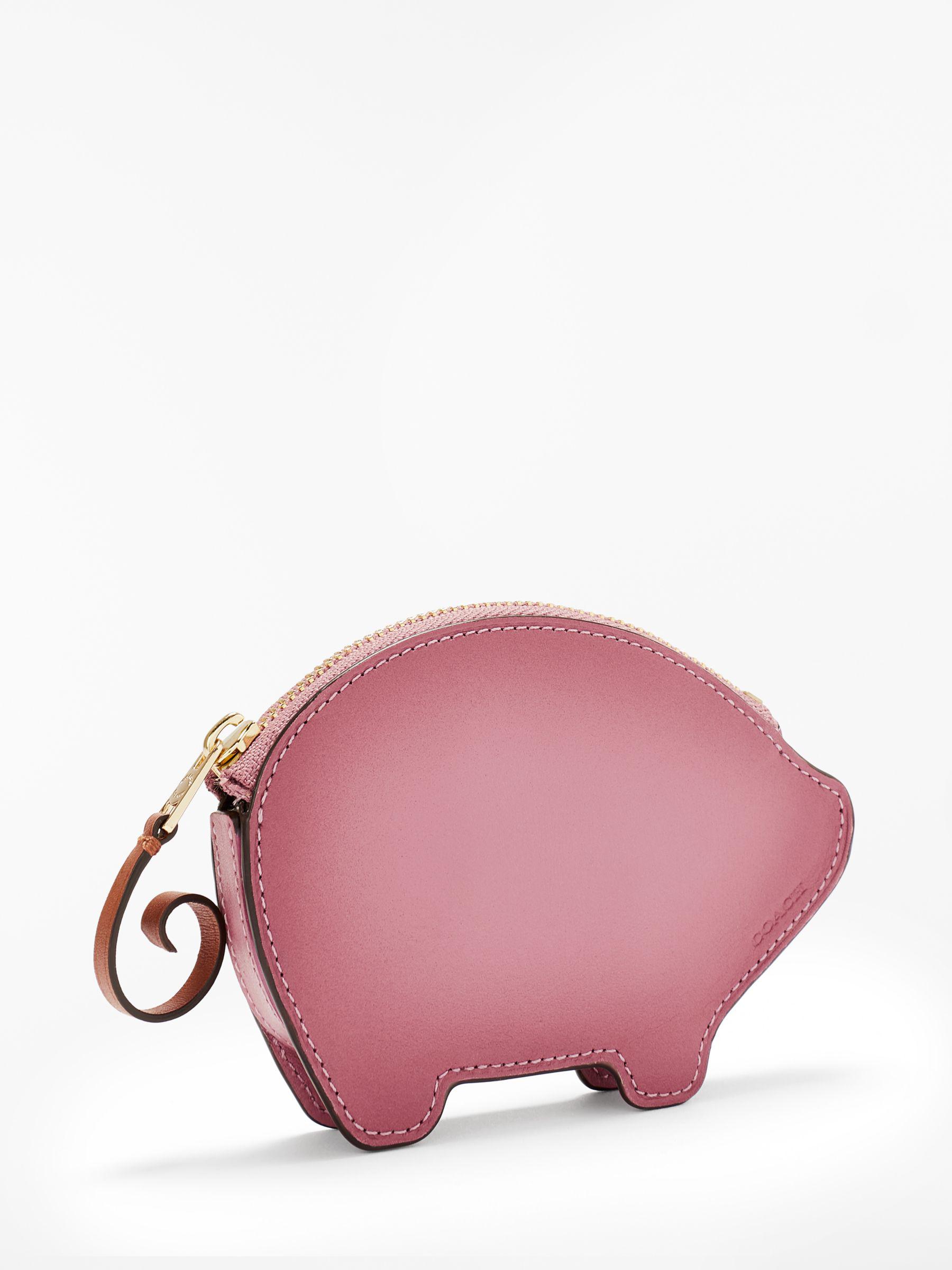 pig coin case