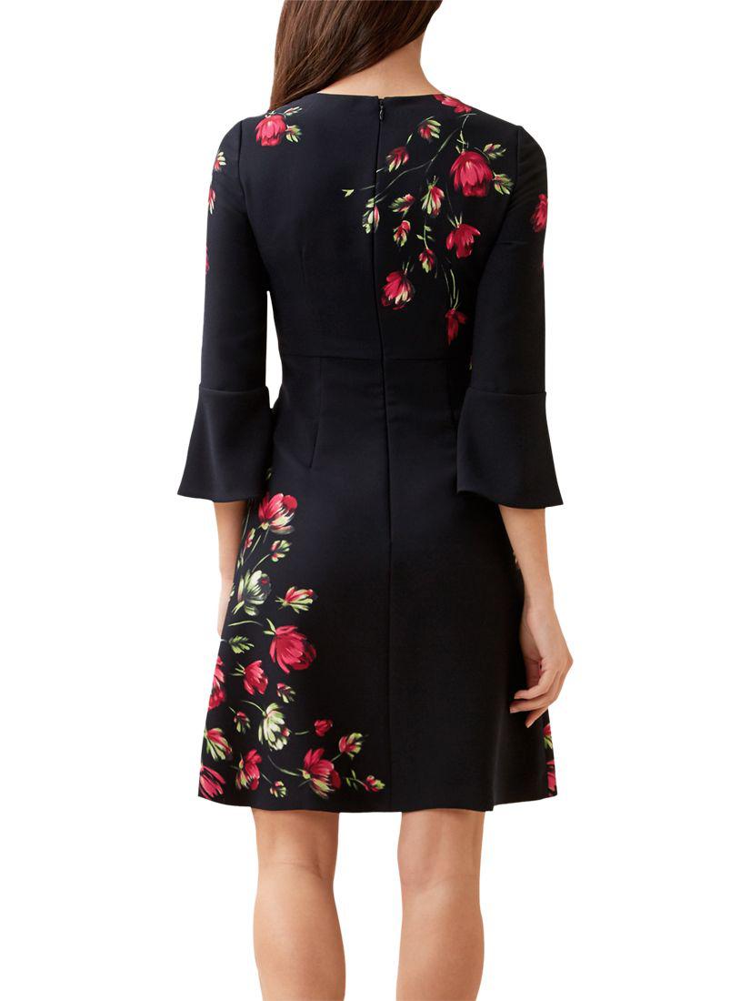 hobbs painted rose dress