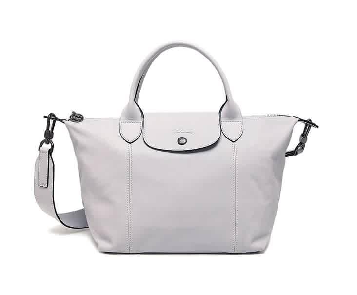 longchamp pebble color