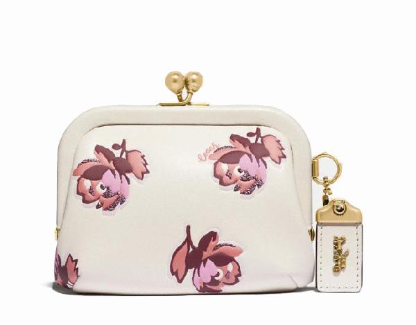 kisslock coin case