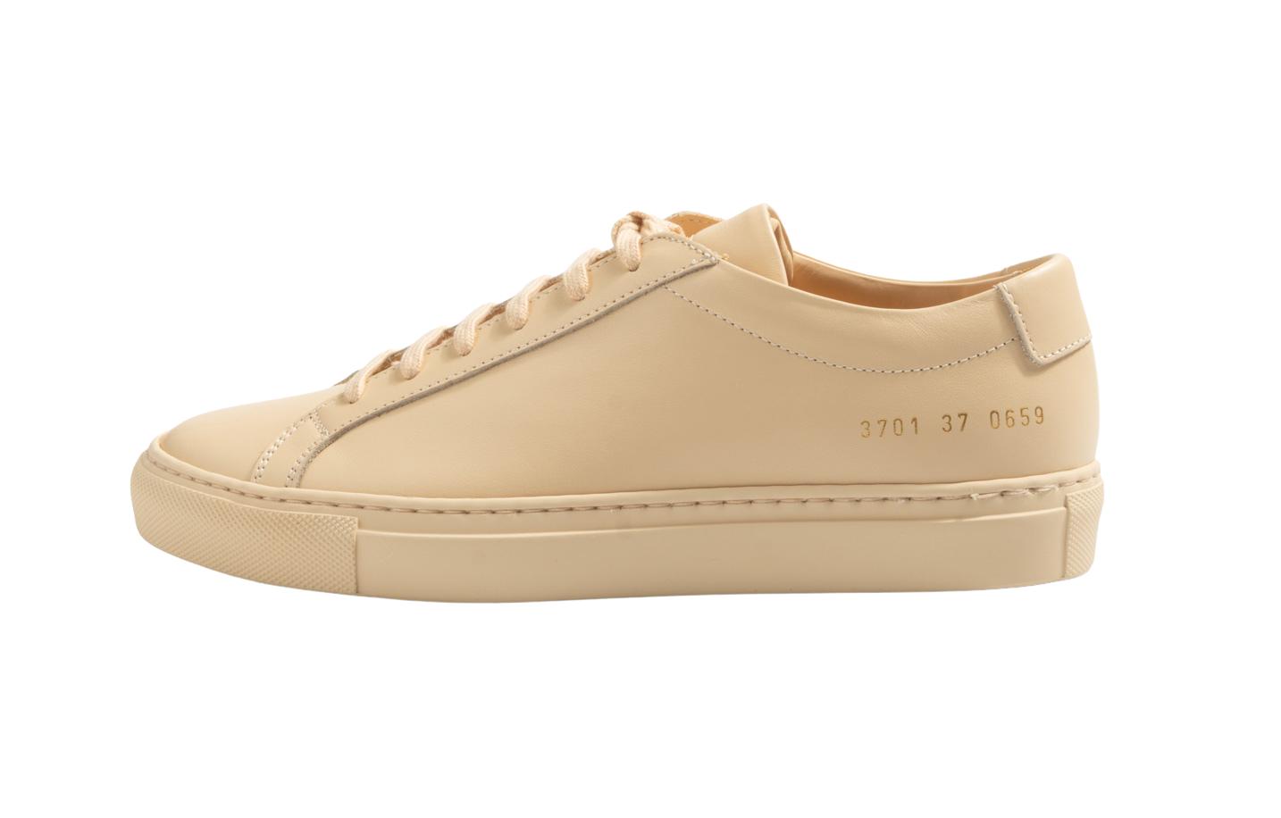 3701 common projects