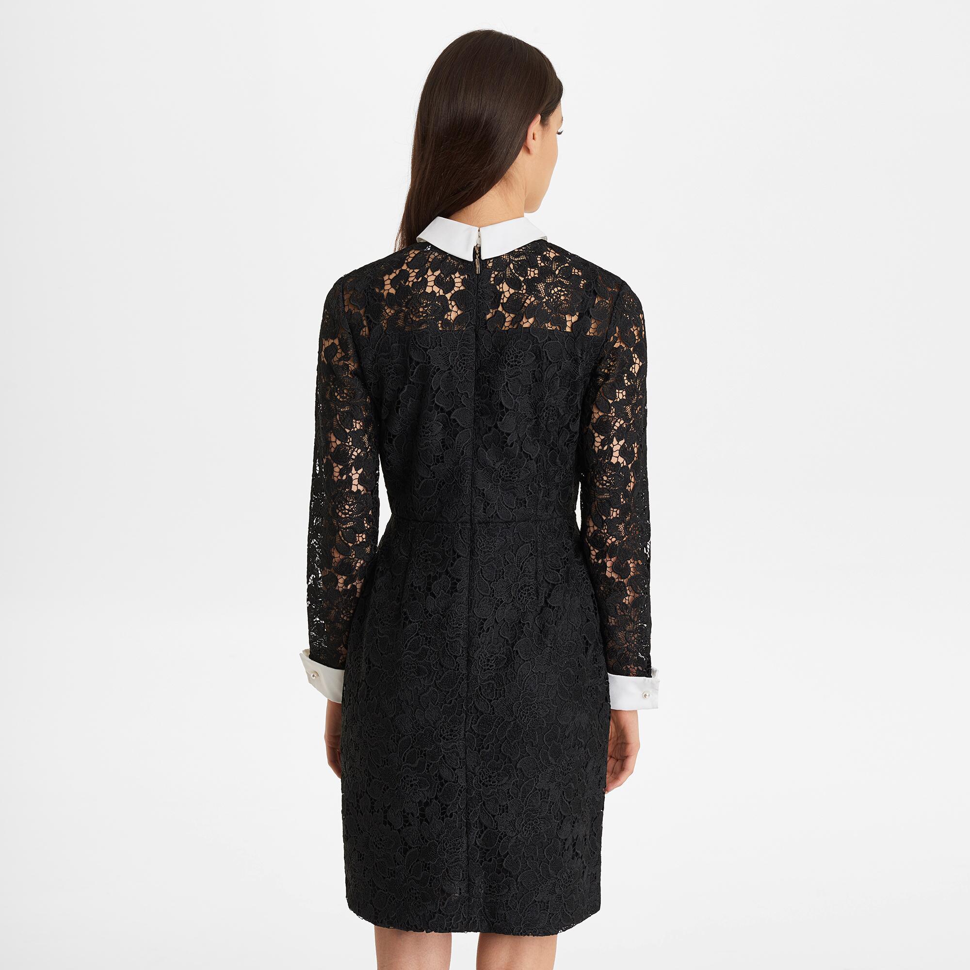 lace collared dress