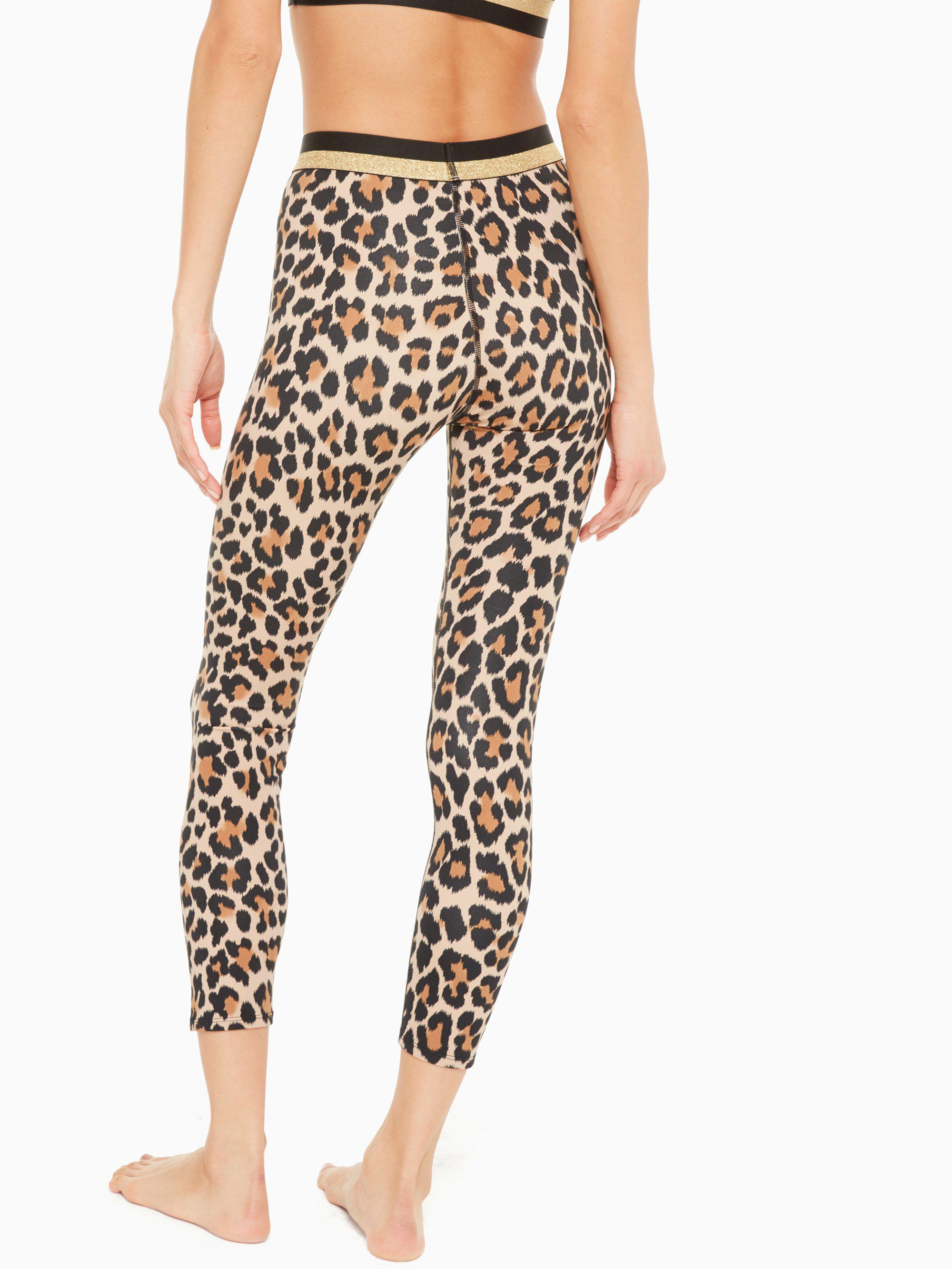 kate spade leopard tights