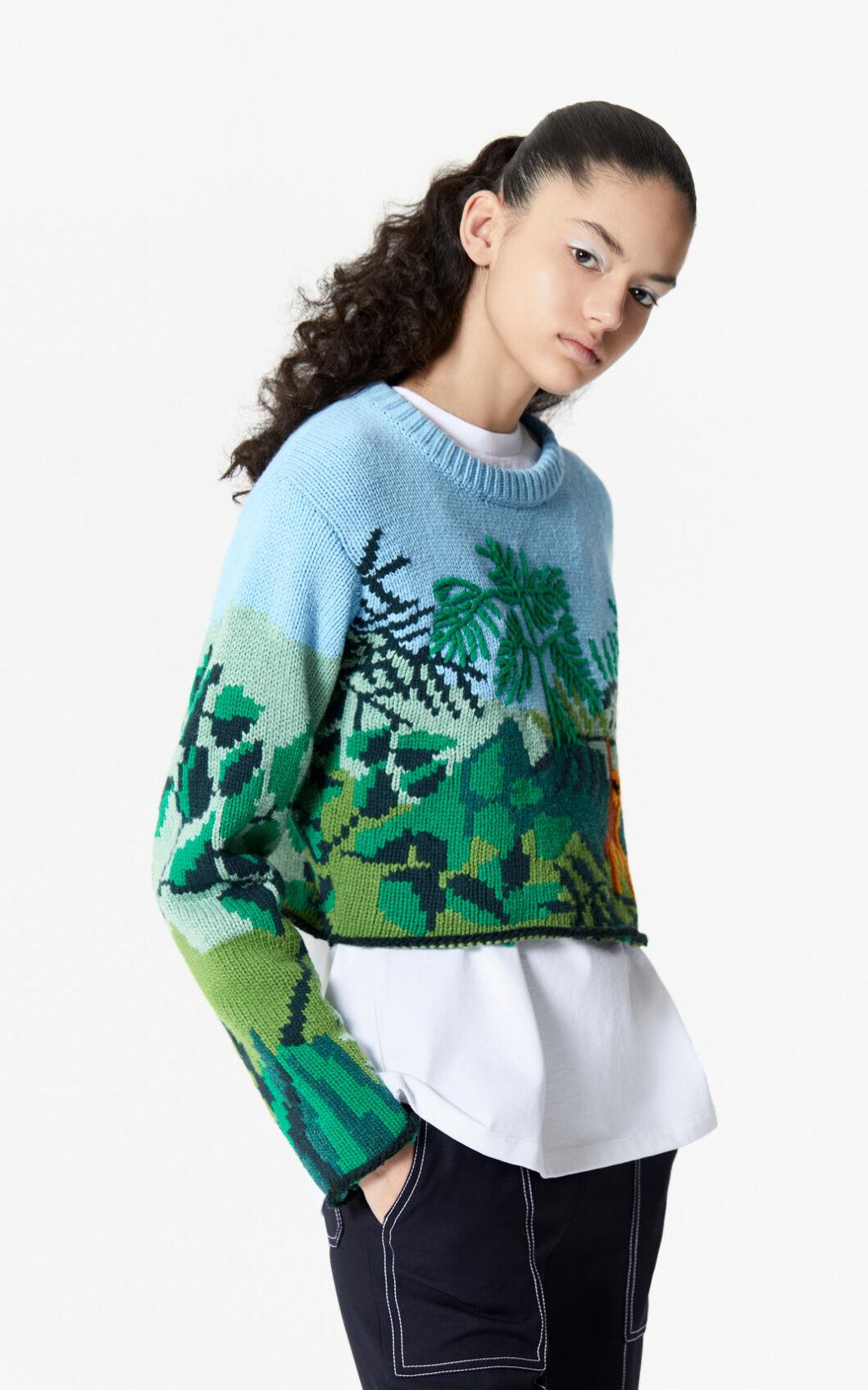 kenzo cropped jumper