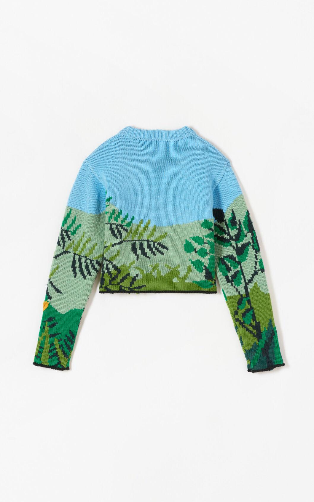 KENZO Wool Hand-embroidered Cropped 