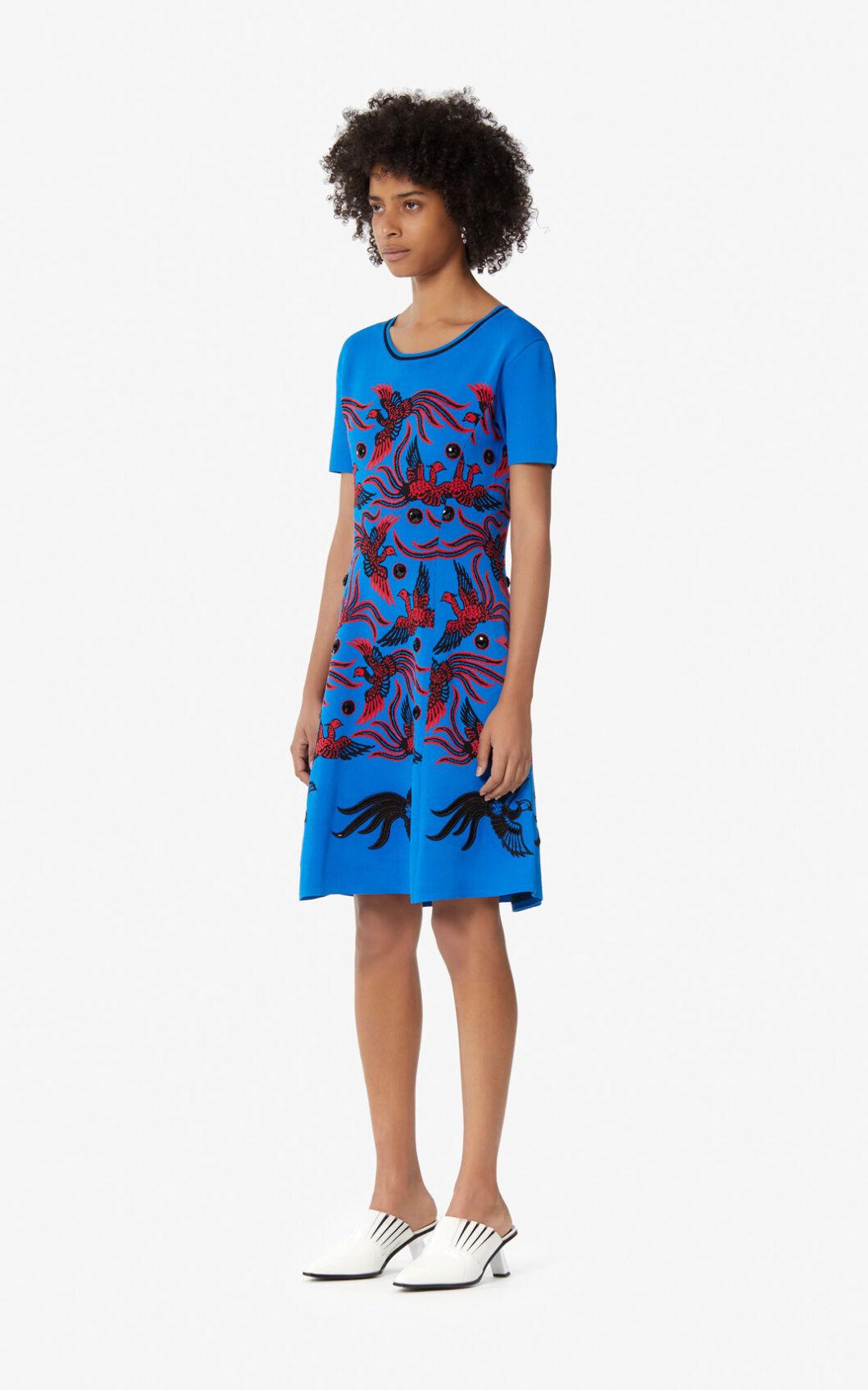 kenzo phoenix dress