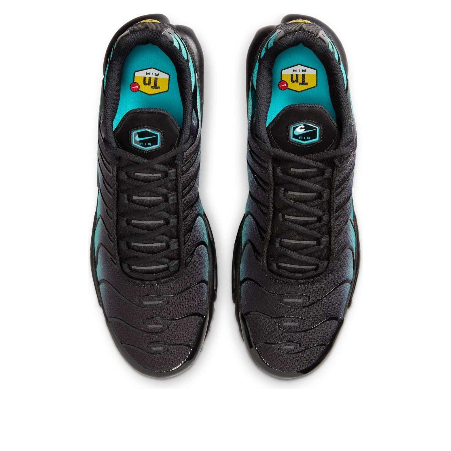 tn dusty cactus