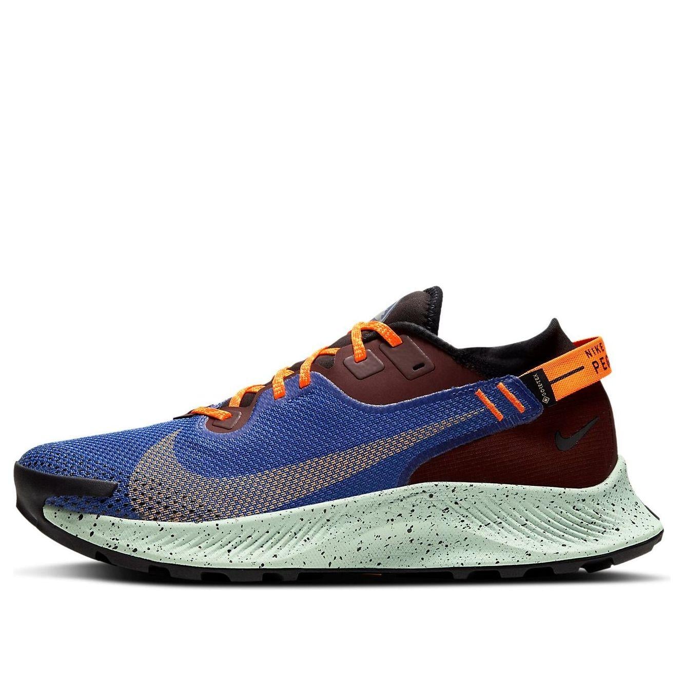Nike Peg Trail 2 Gtx