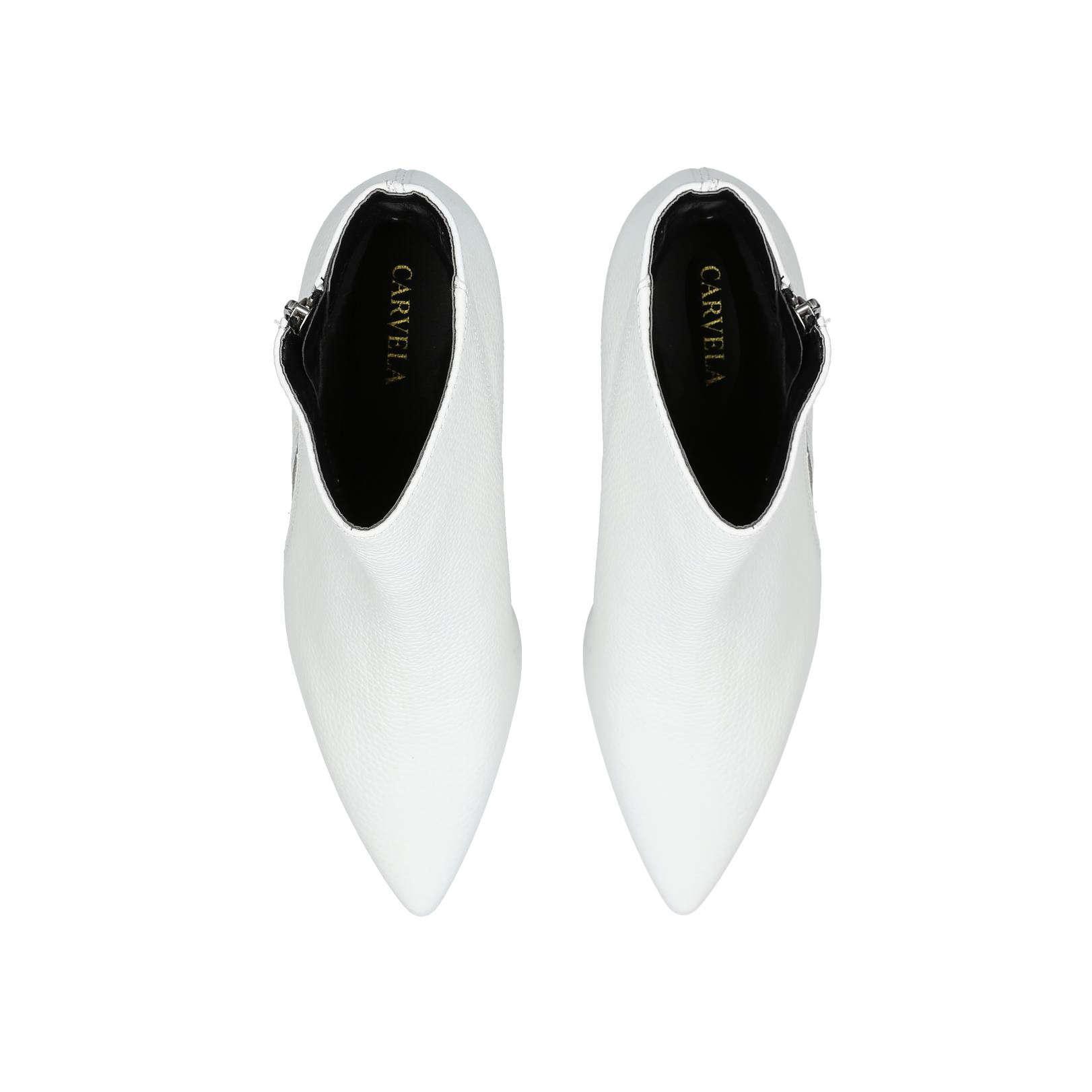 carvela signet