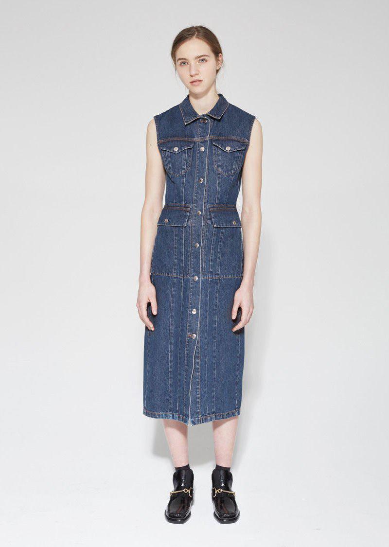 acne denim dress