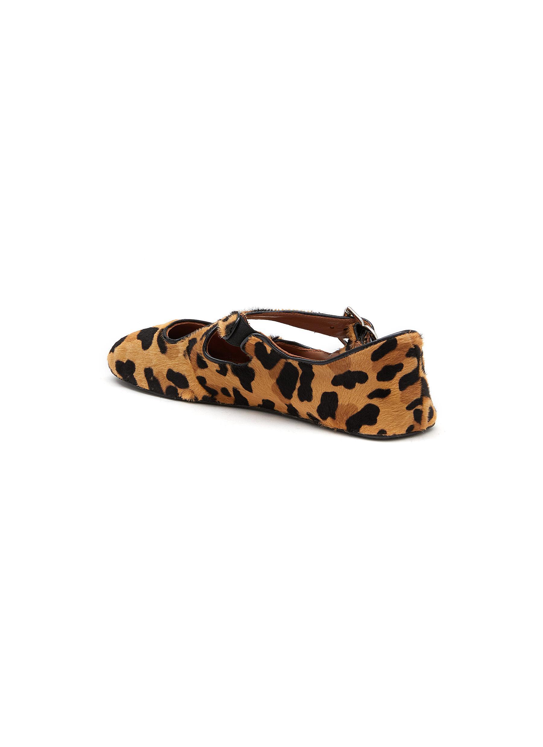 Leopard ballerina hotsell flats