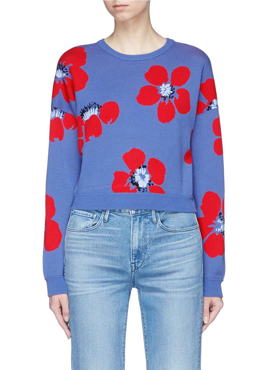 alice and olivia sweatshirt