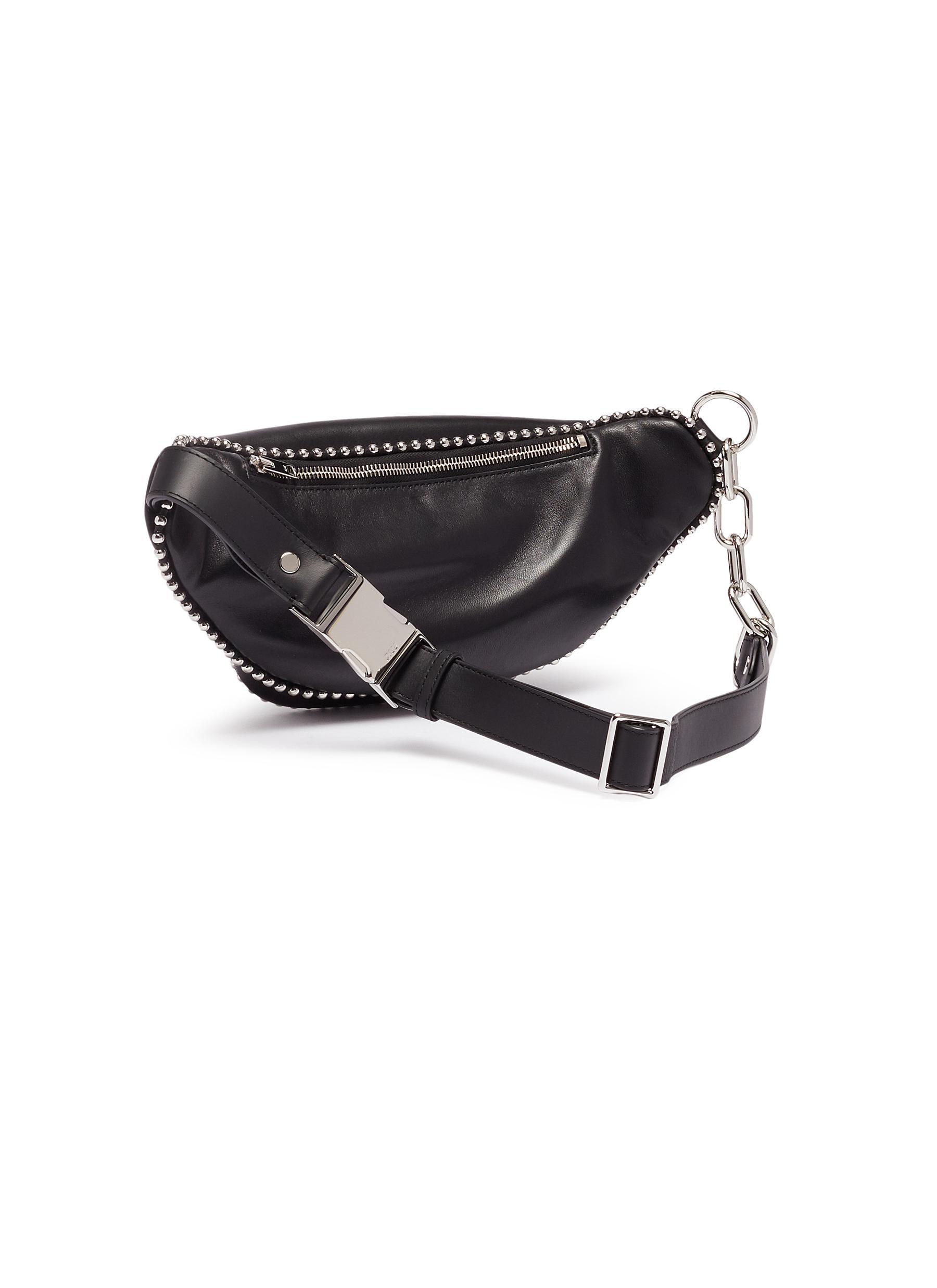 pig coin case