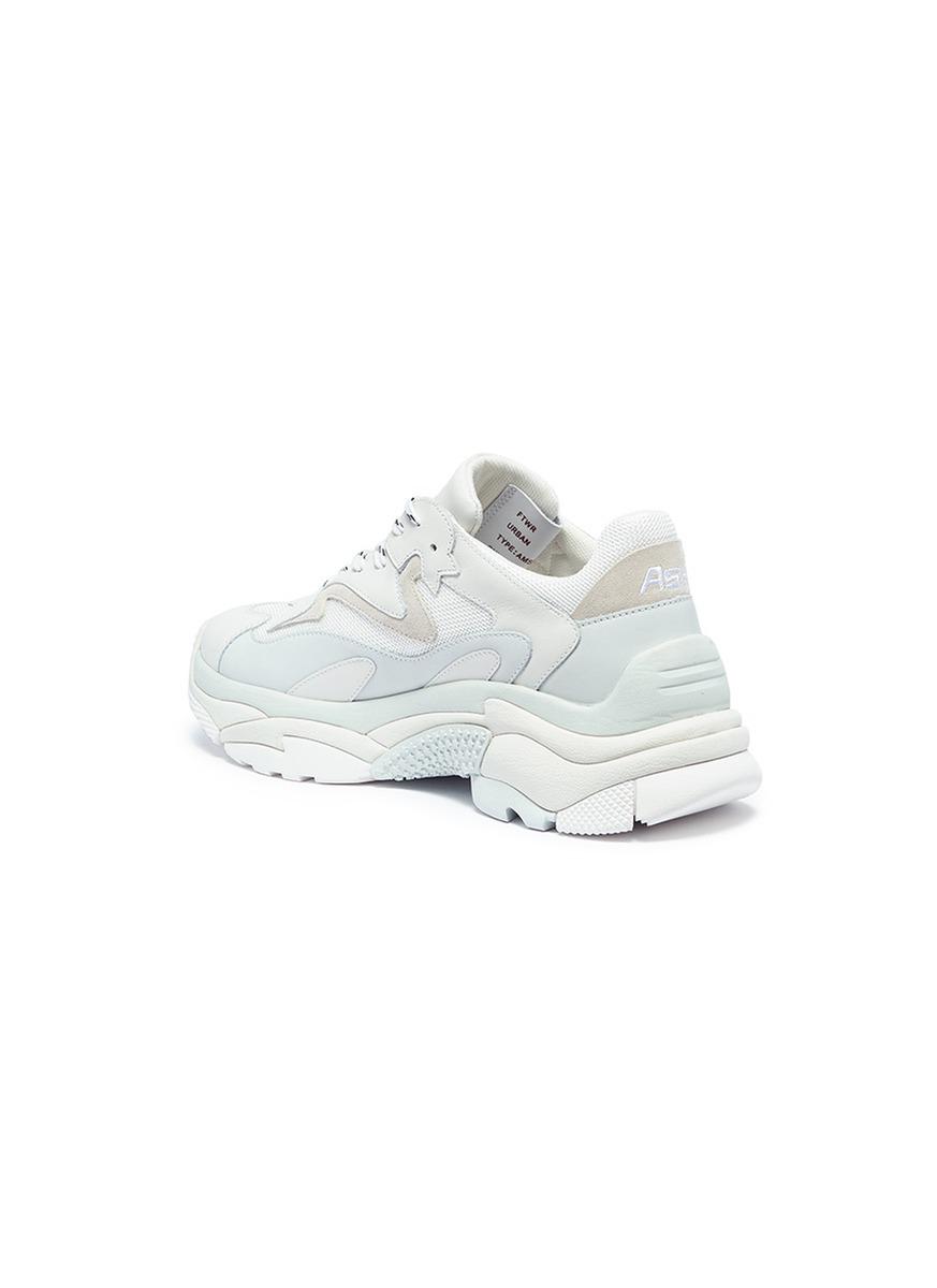 ash shoes nyc