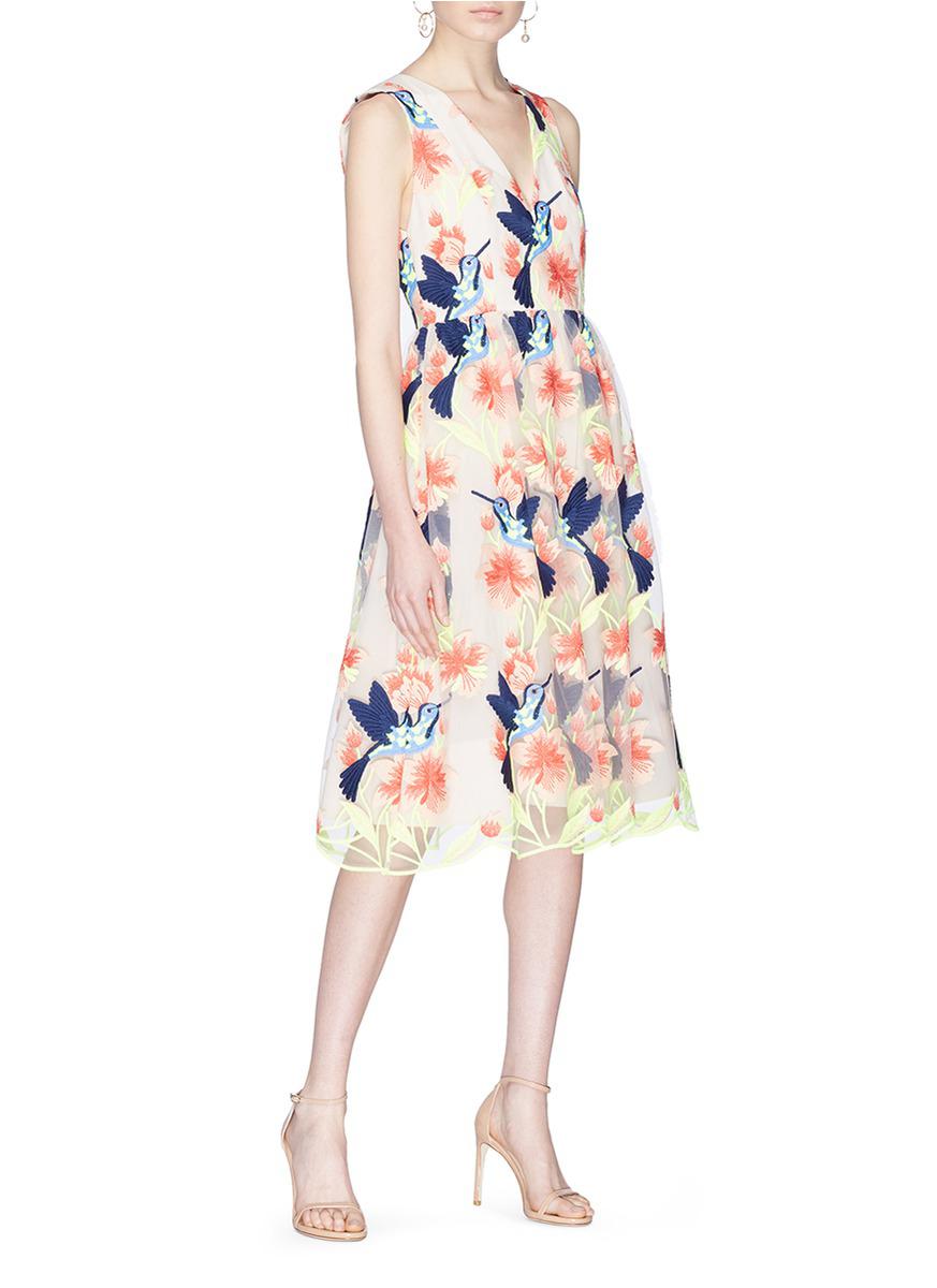 alice and olivia hummingbird dress