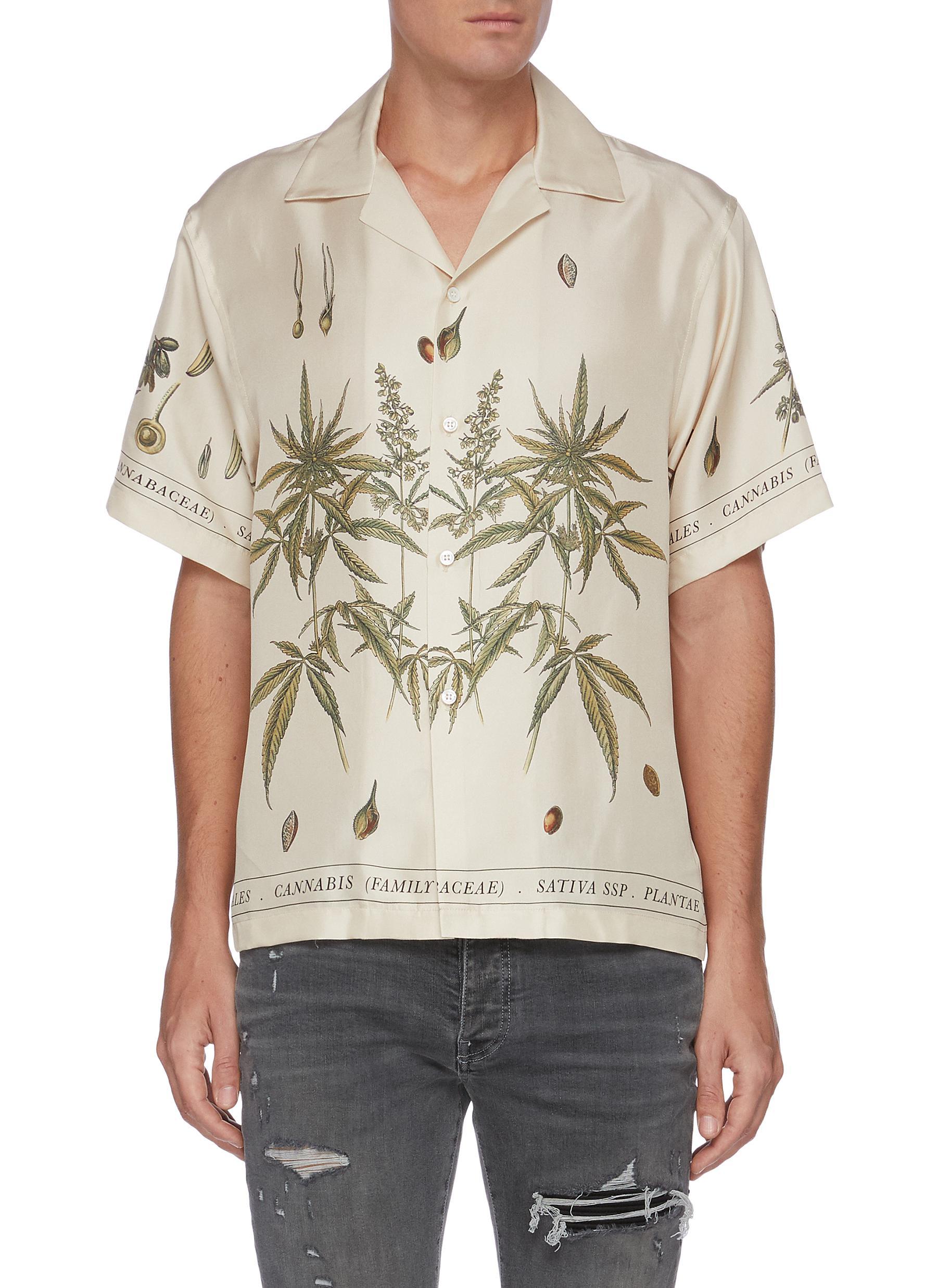 Amiri Cannabis Botanical Print Shirt in 