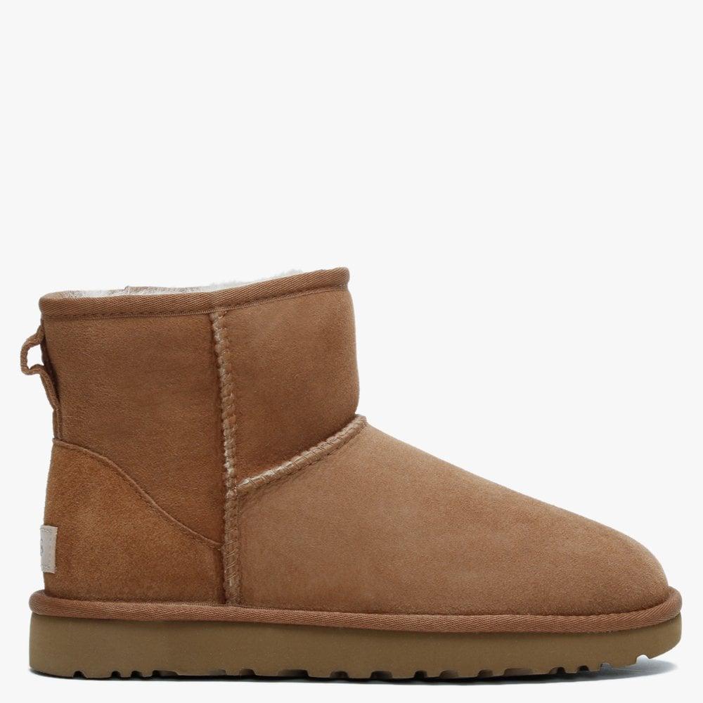 dark brown uggs mini