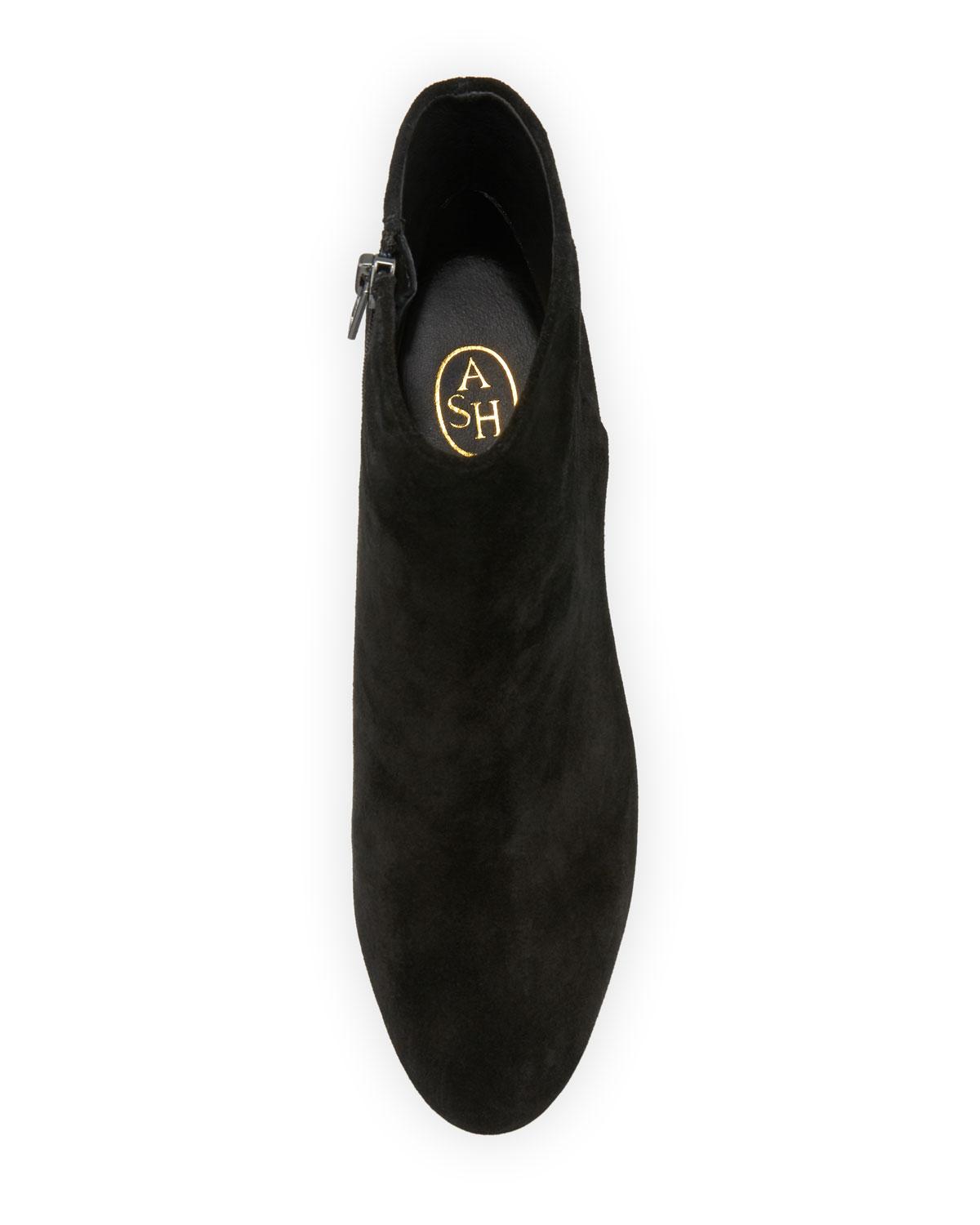 ash eden suede booties