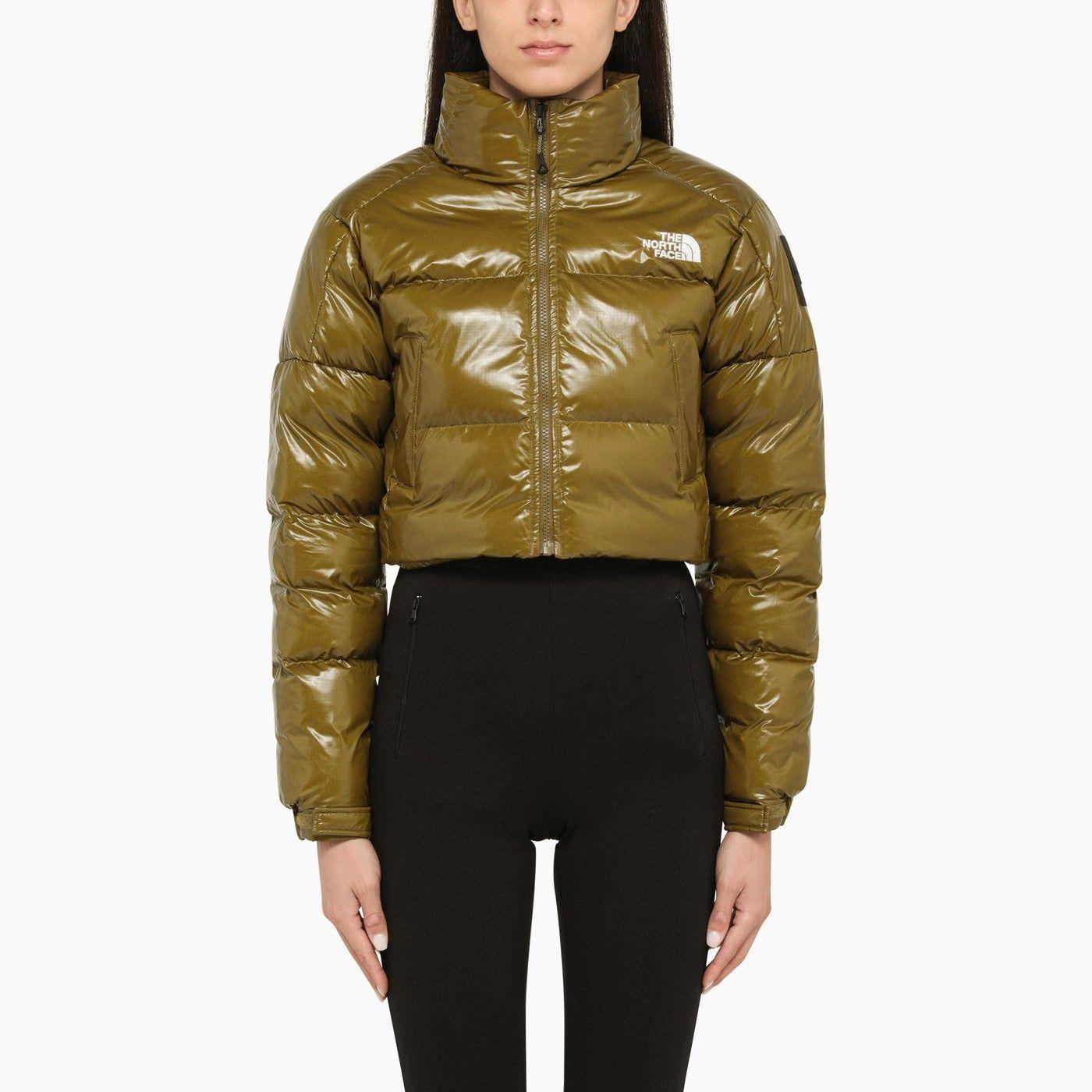 The north face shop shiny jacket