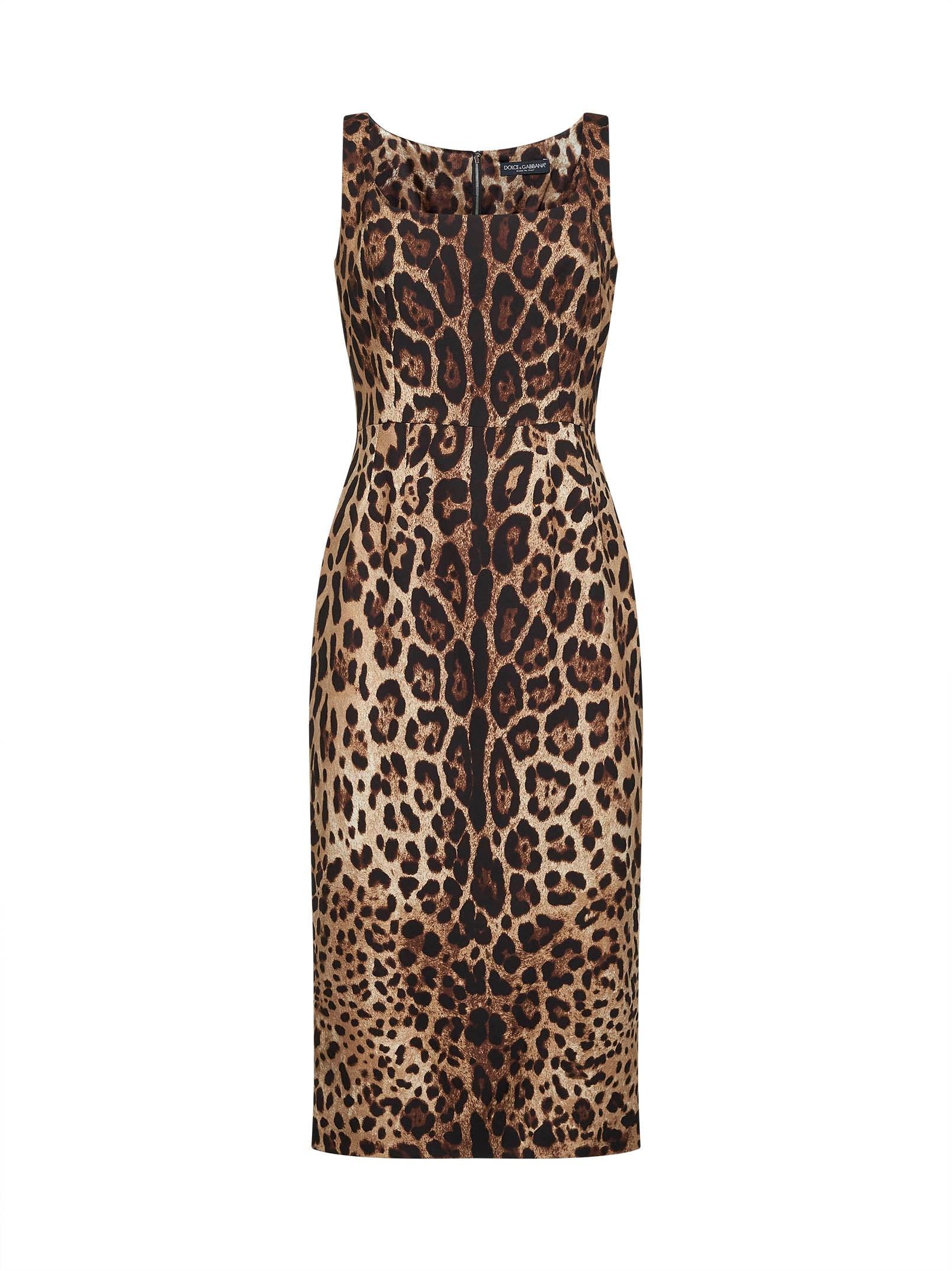 Dolce & Gabbana Animal Print Dresses for Women | Lyst Dolce & Gabbana Animal Print Dresses for Women | Lyst