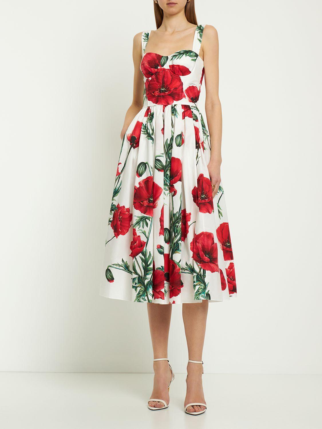 Dolce & Gabbana Poppy Print Poplin Bustier Midi Dress in Red