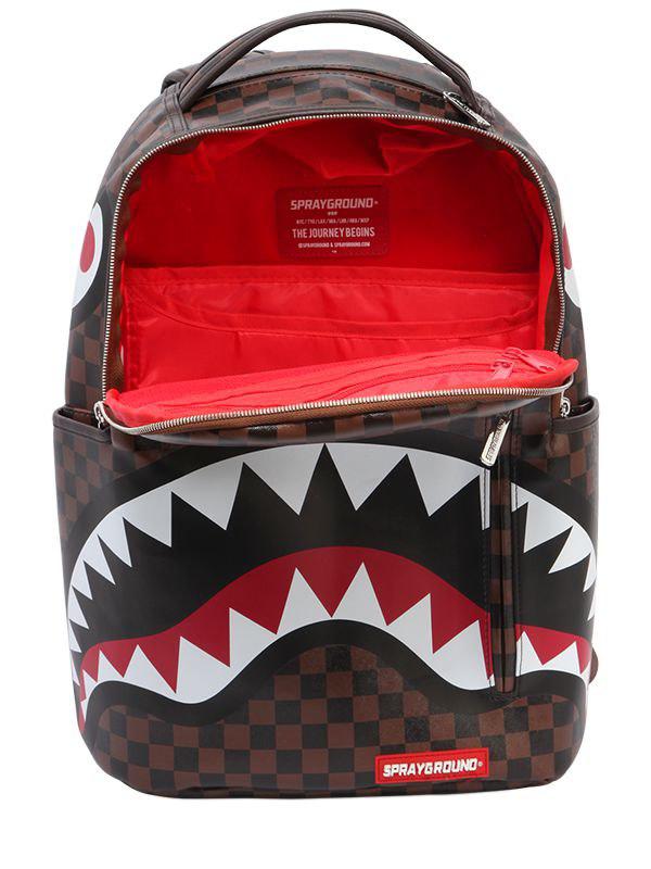 sleek sharks in paris