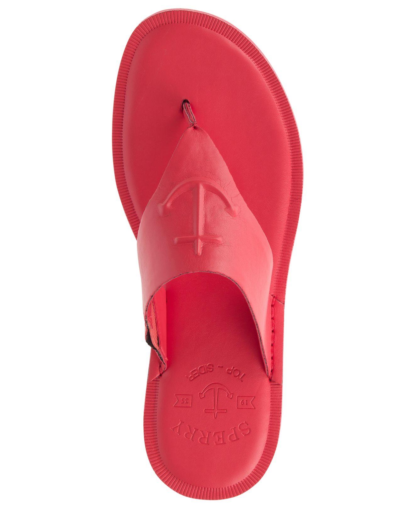 sperry sandals macys