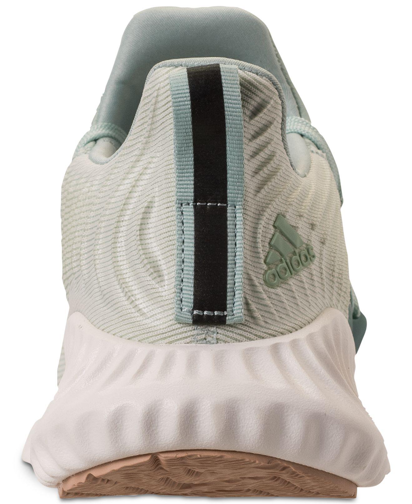 finish line alphabounce instinct