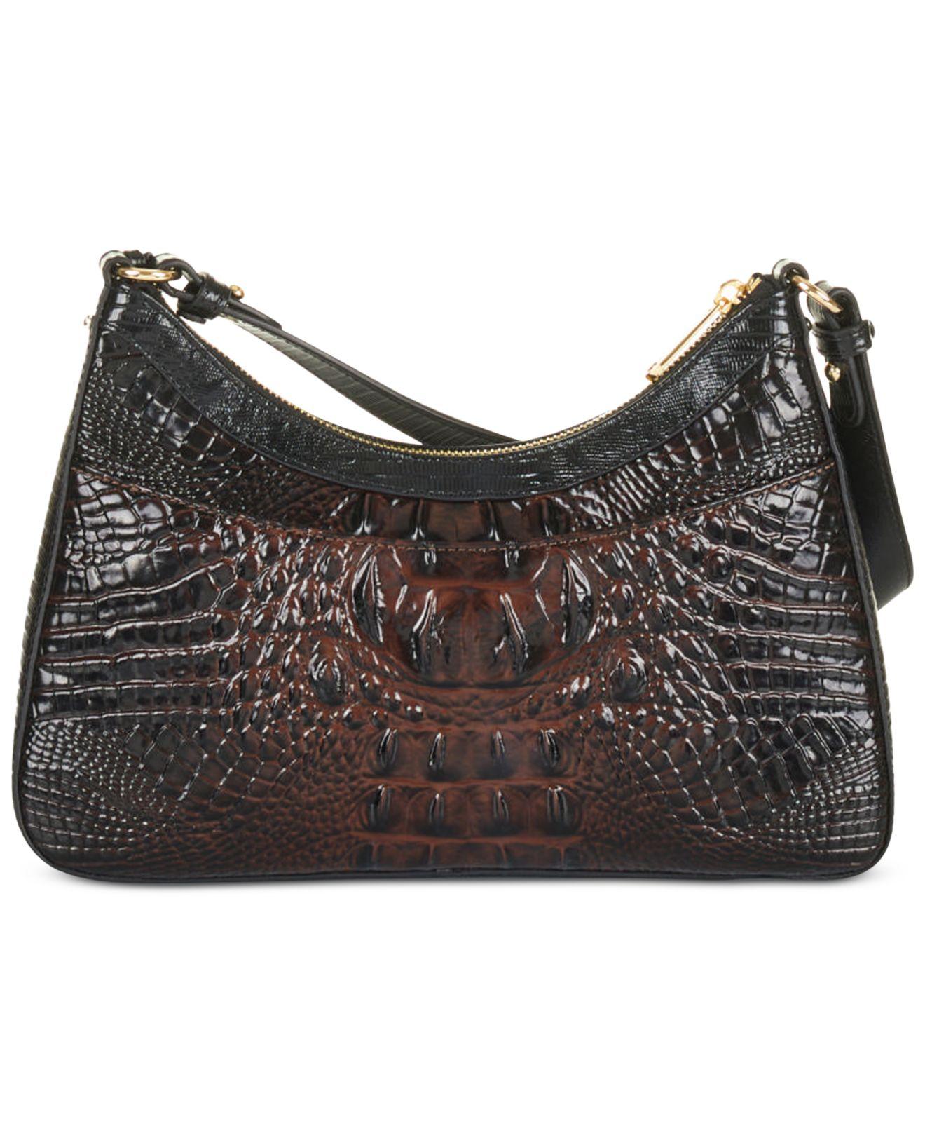 Cocoa brahmin sale