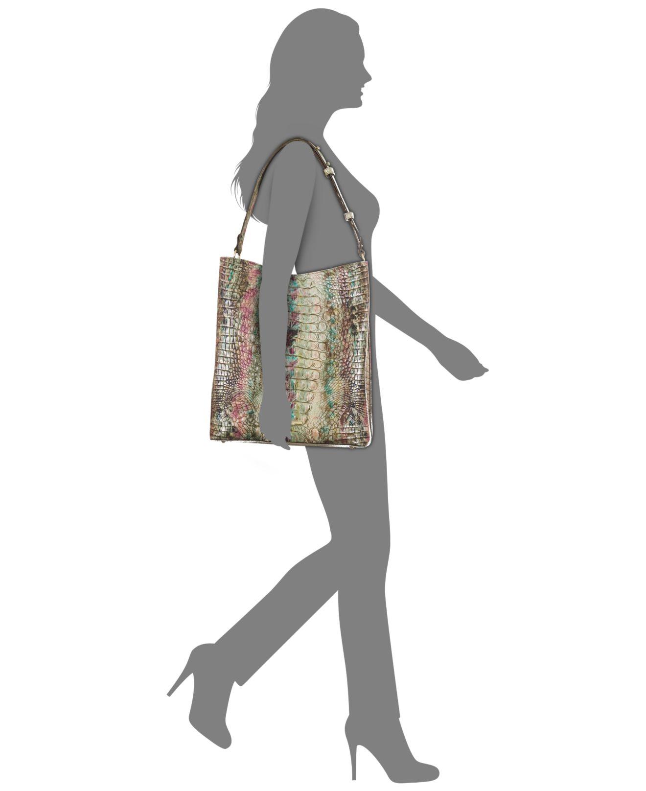 large amelia brahmin