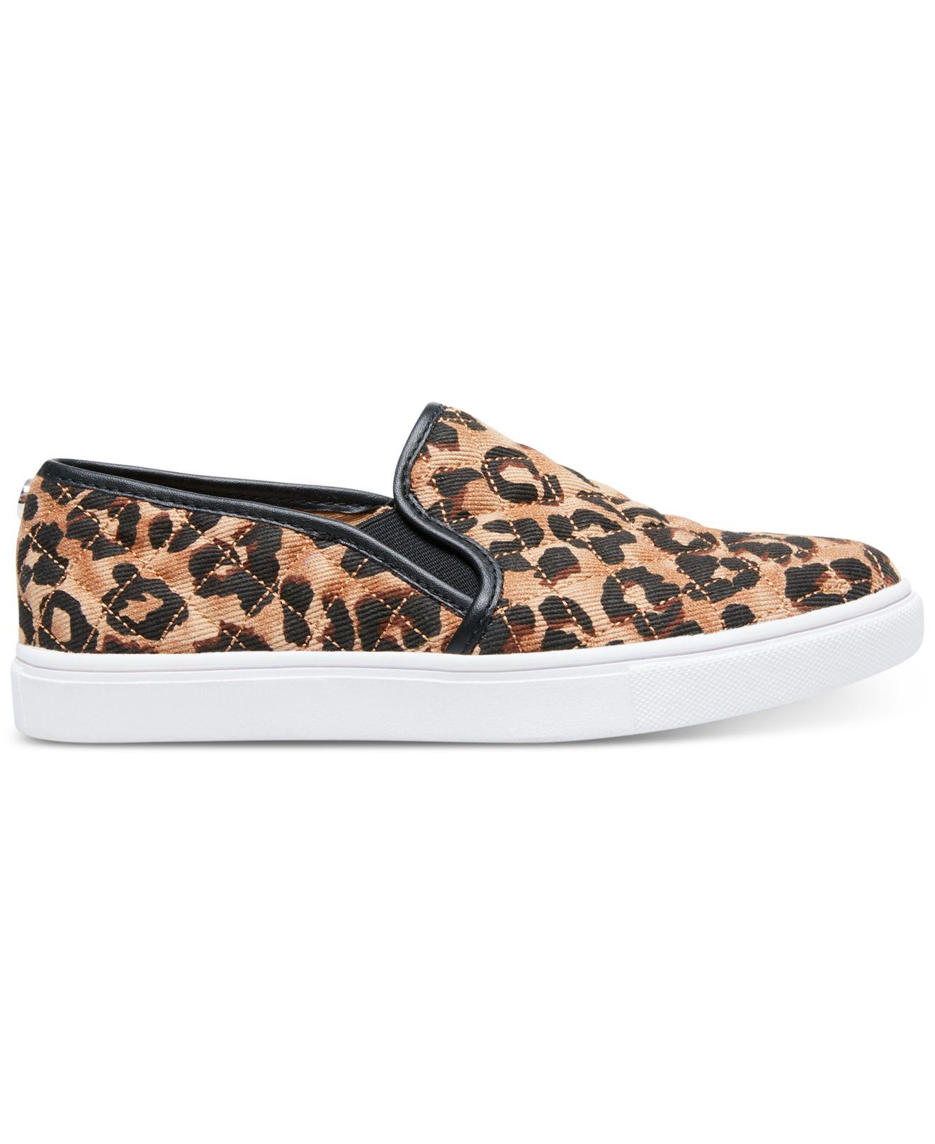 steve madden ecentric sneakers