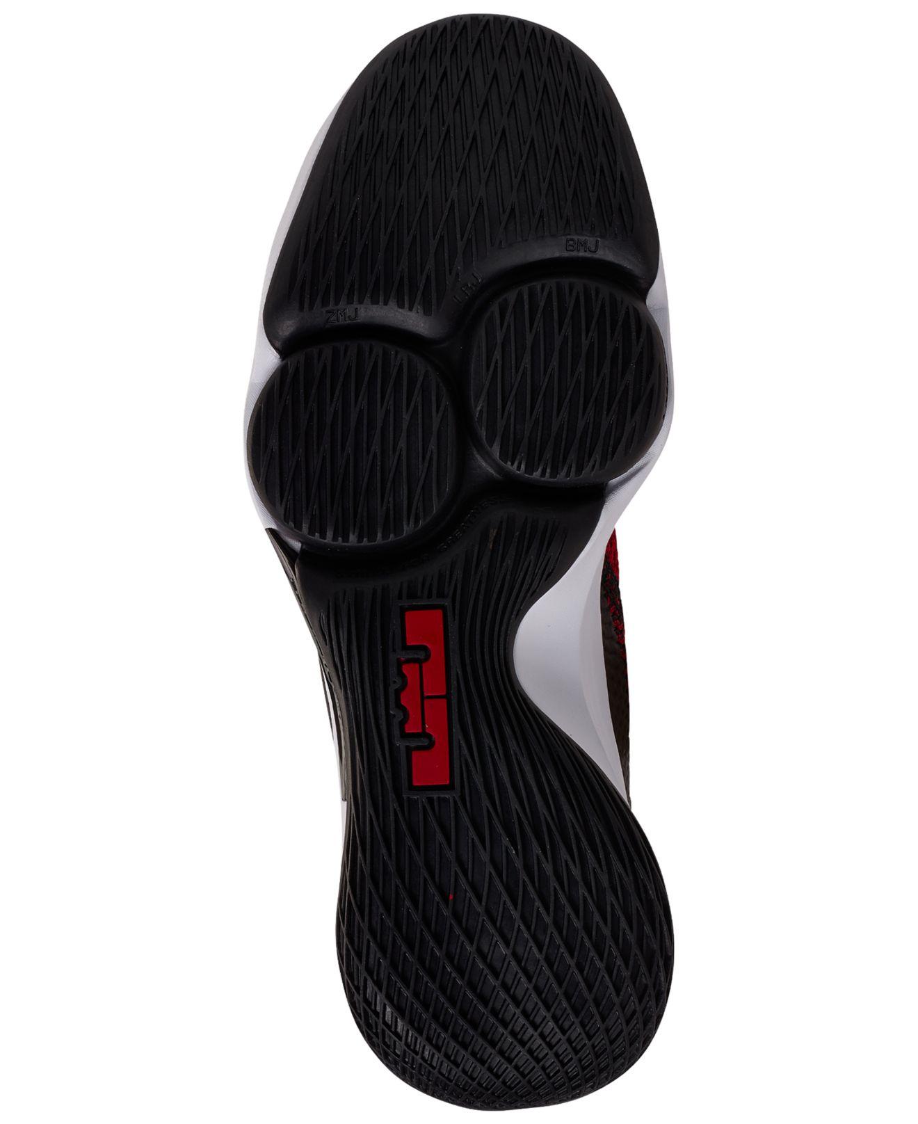 lebron witness 4 finish line