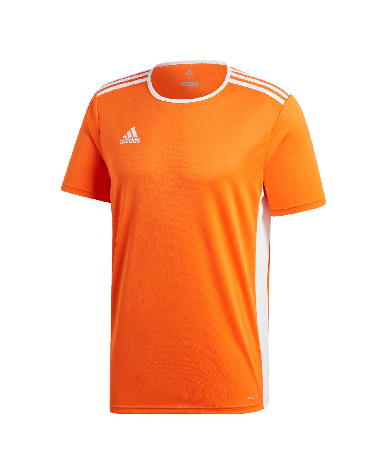 adidas entrada 18 jersey orange