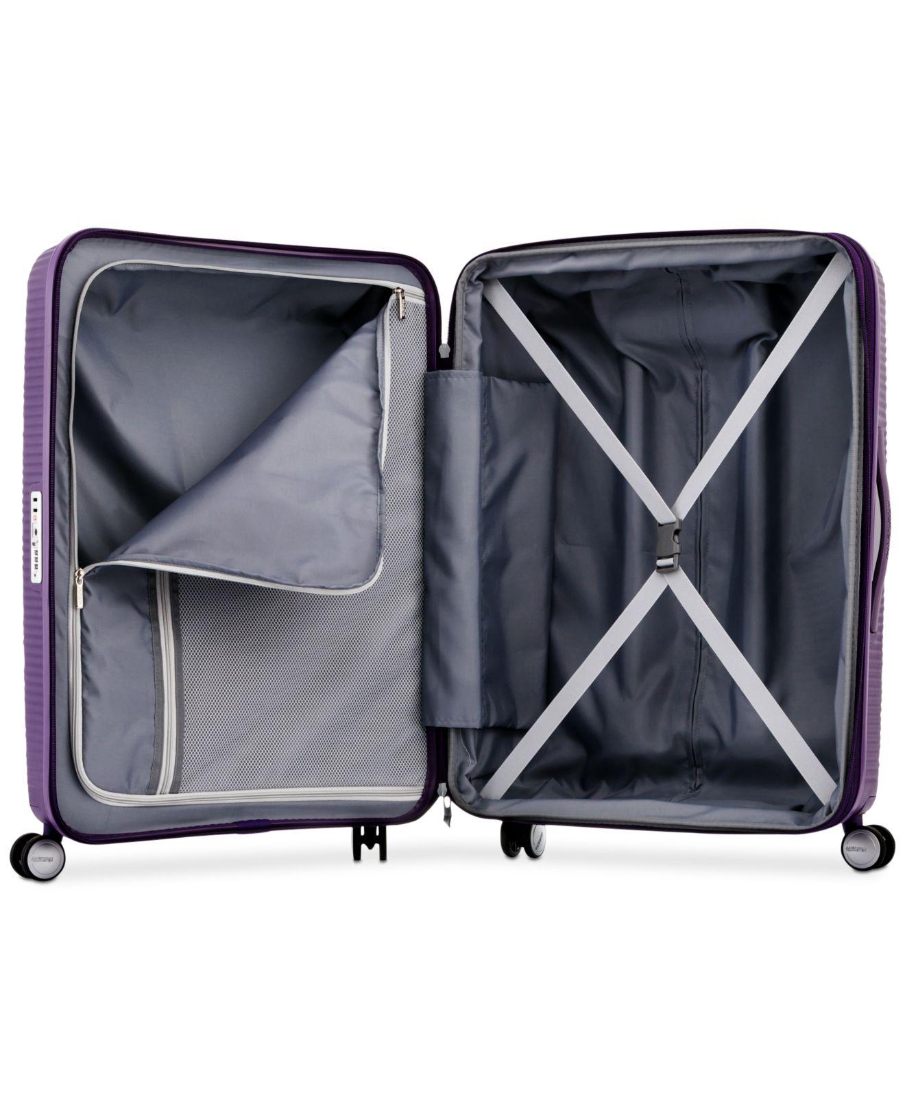 american tourister curio purple