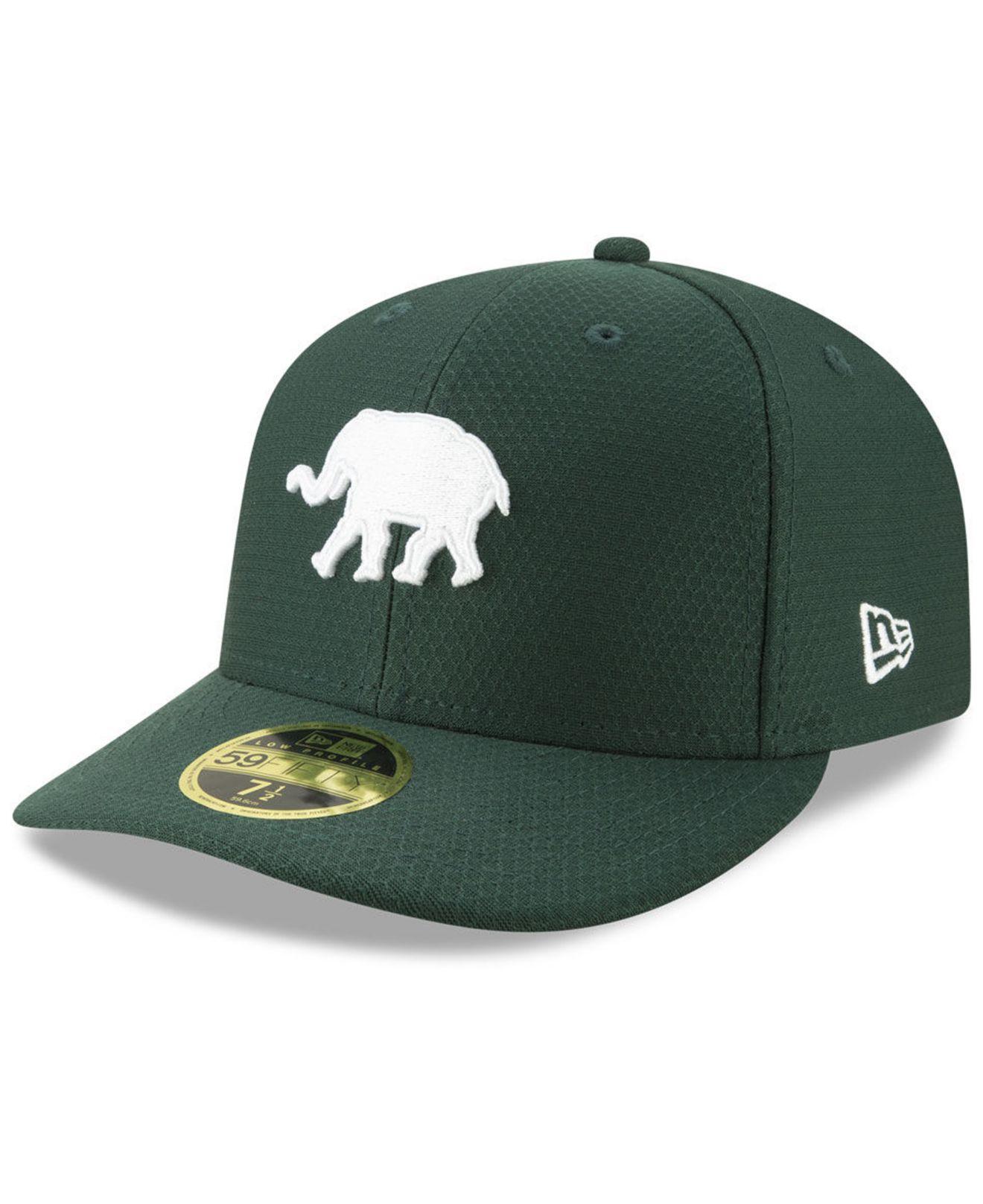 a's elephant hat